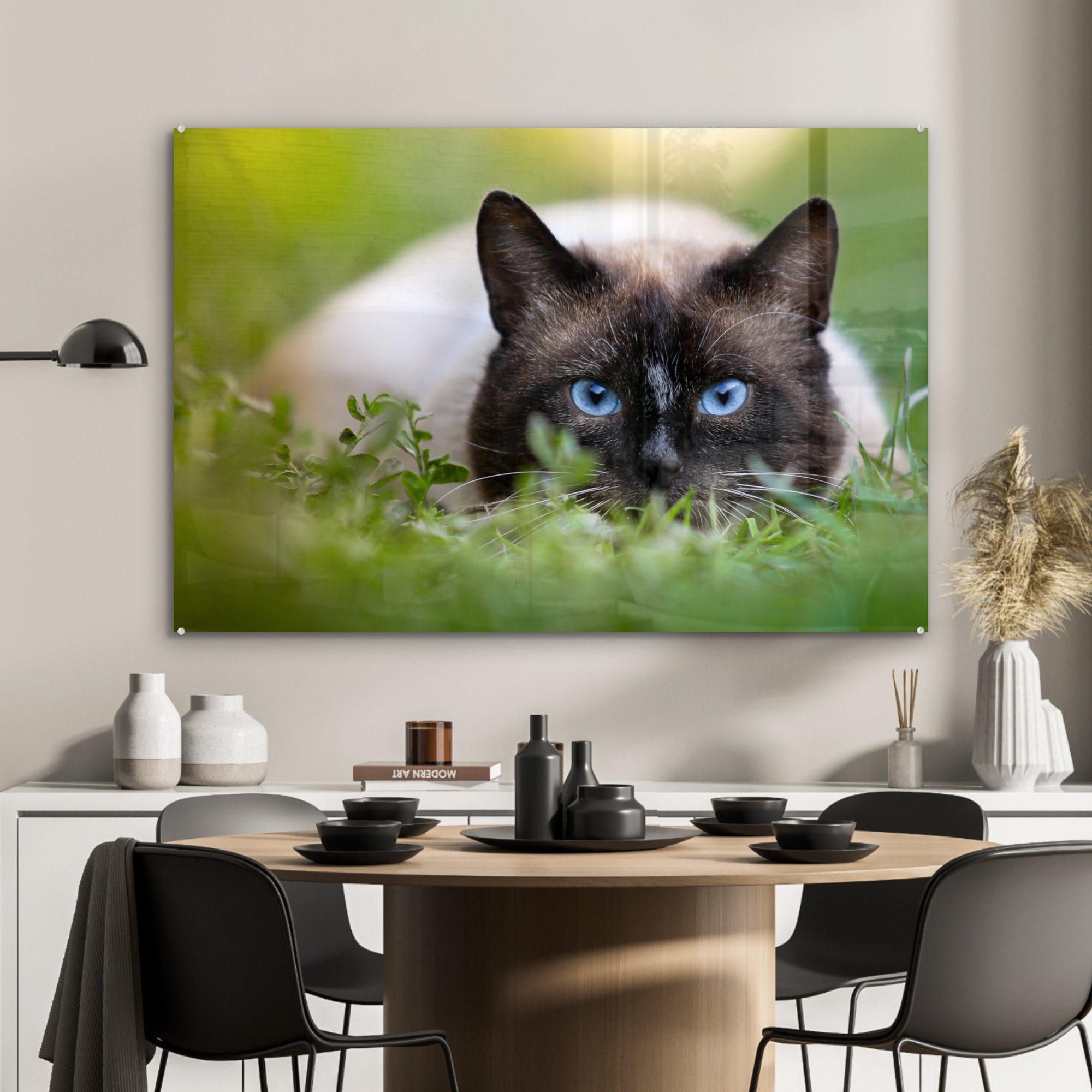 & (1 St), Wohnzimmer MuchoWow Acrylglasbild Gras - Schlafzimmer Porträt, - Acrylglasbilder Katze