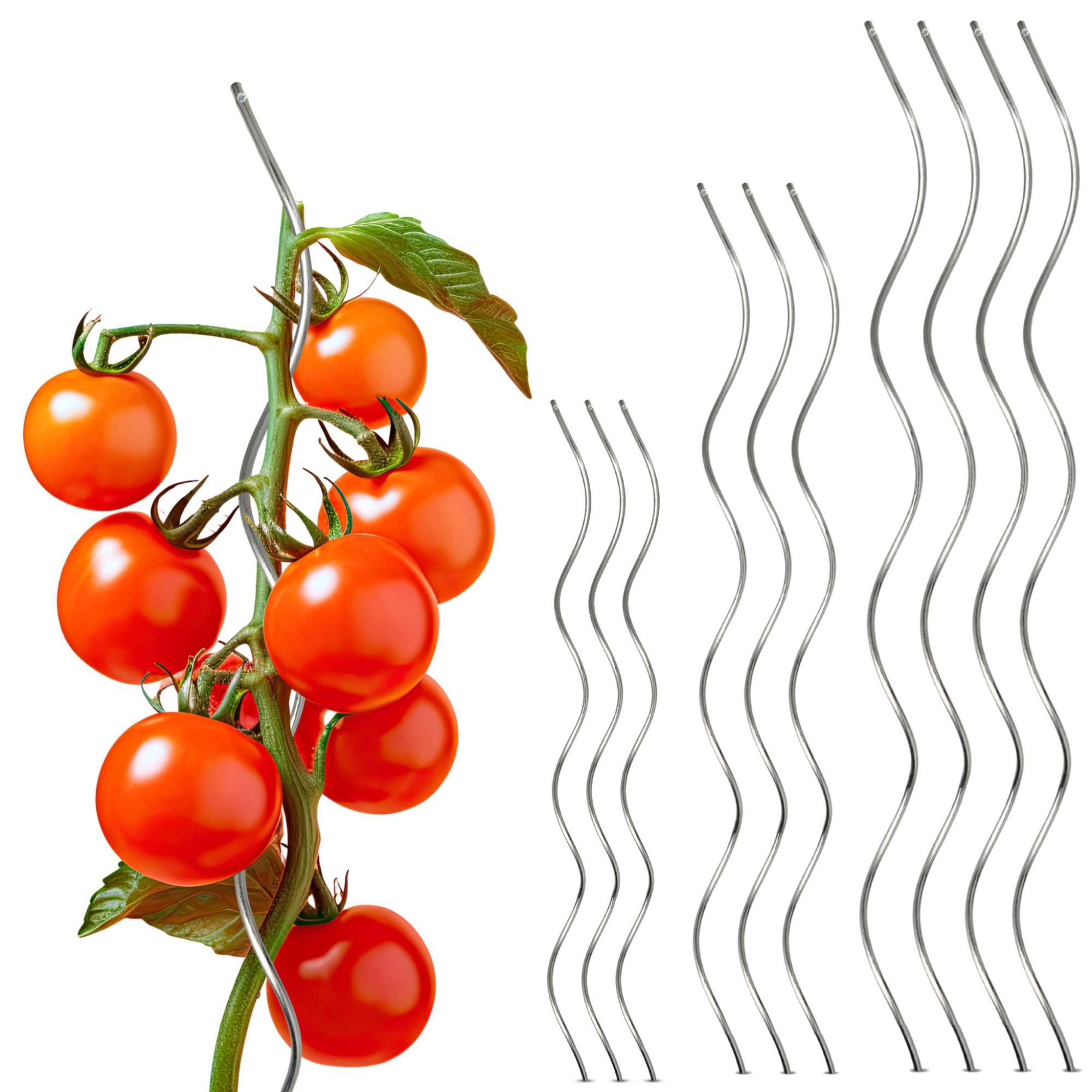 Gartenwelt Riegelsberger Tomatengewächshaus Tomatenspirale aus Stahl günstig online kaufen