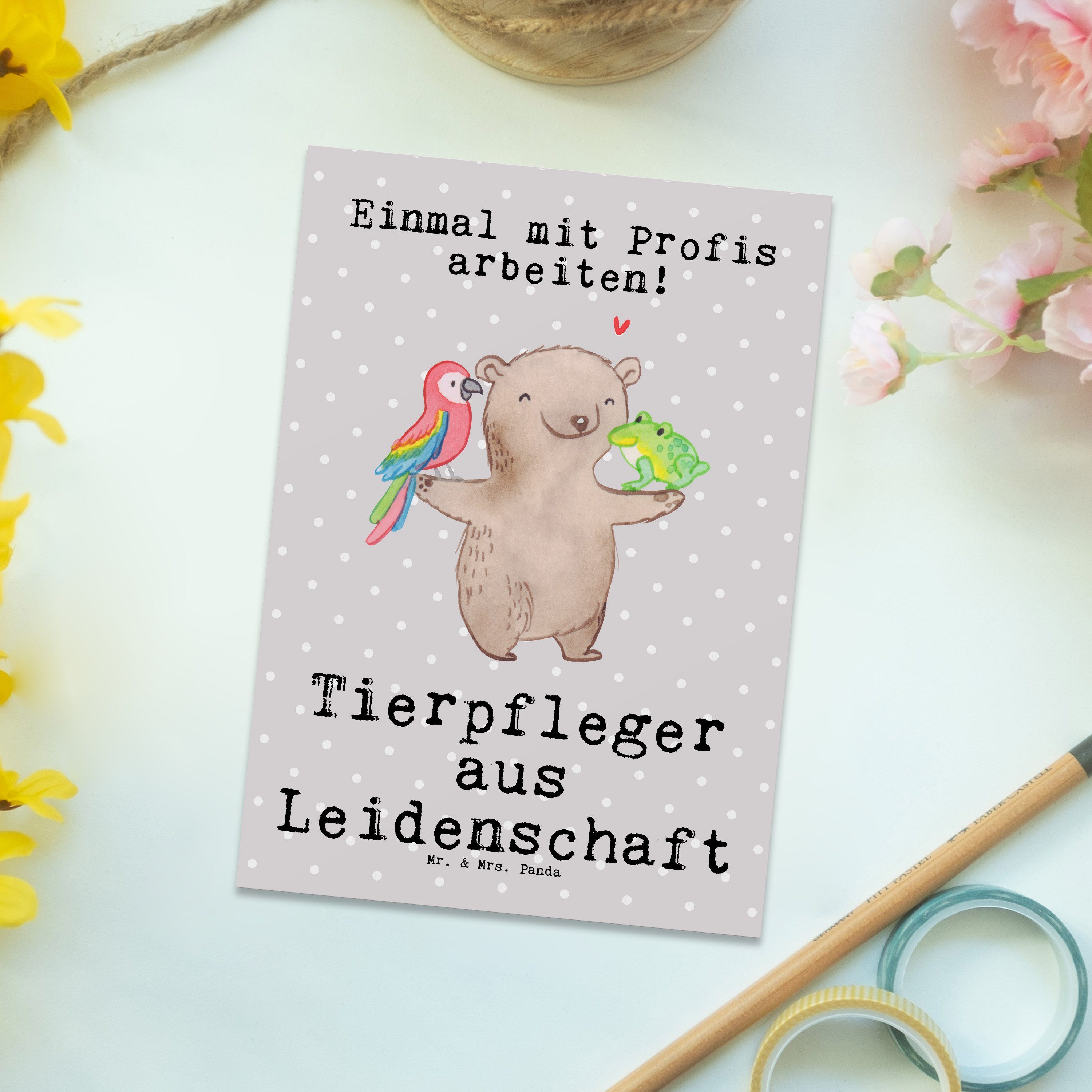 Mr. & Mrs. Panda Postkarte Geburtstagska - Grau - Pastell Geschenk, aus Tierpfleger Leidenschaft