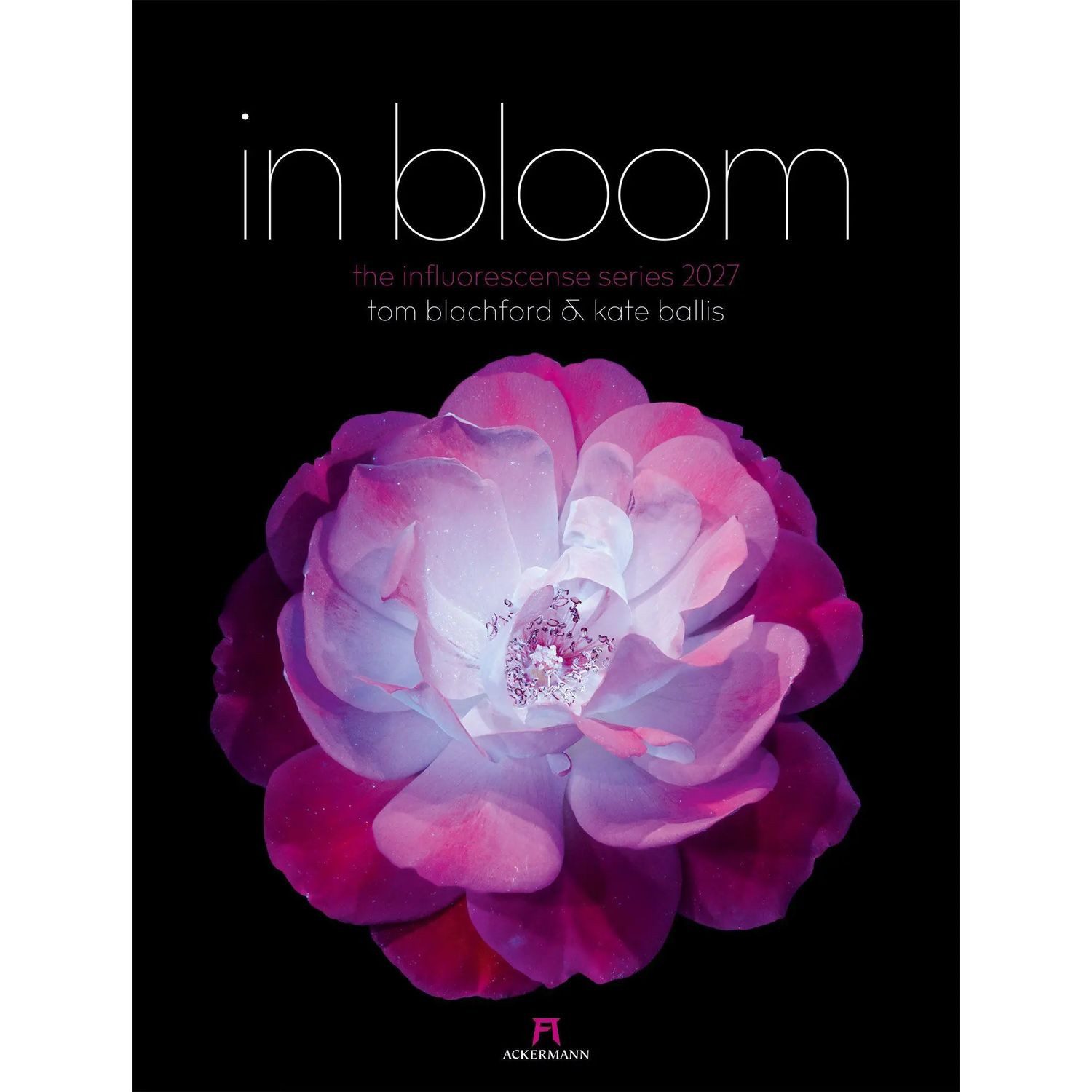Ackermann Wandkalender in bloom Kalender 2027