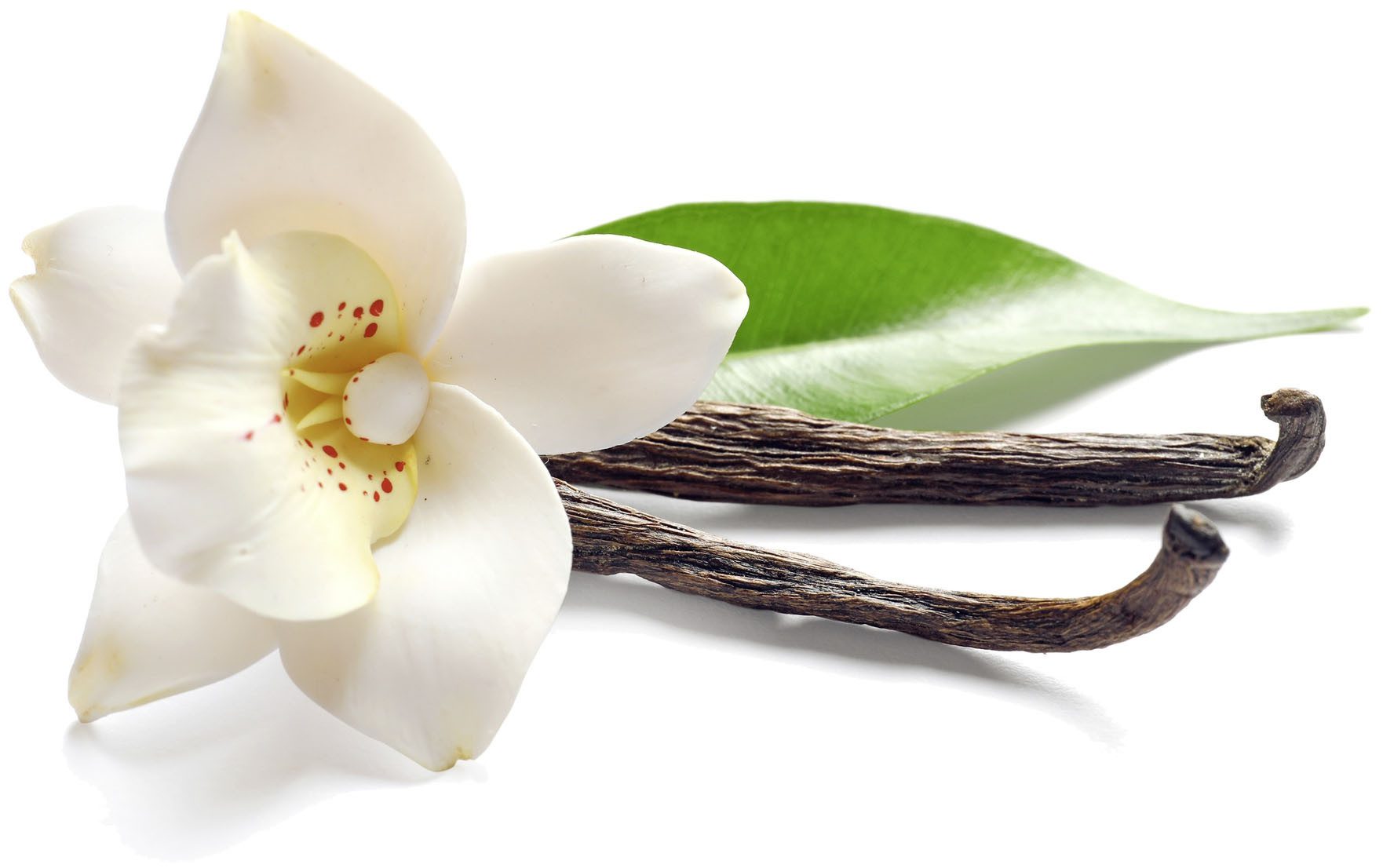 SCHÖNER WOHNEN-Kollektion Duftkerze »Vanilla S« (1-tlg), im Glas, lieblicher & verwöhnender Duft, Brenndauer 20 - 25 Stunden