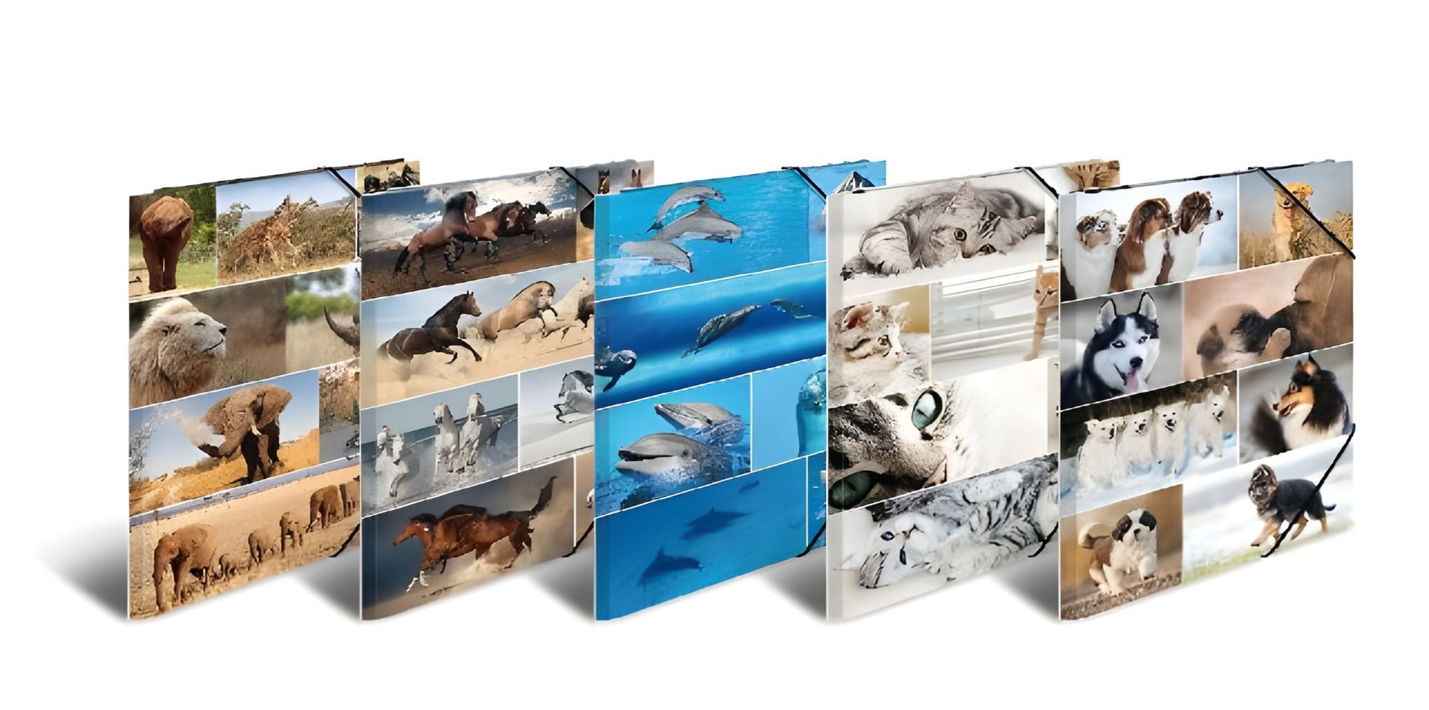 HERMA Organisationsmappe Herma Sammelmappe Eckspanner Karton A3 Animals 10er-Sortierung