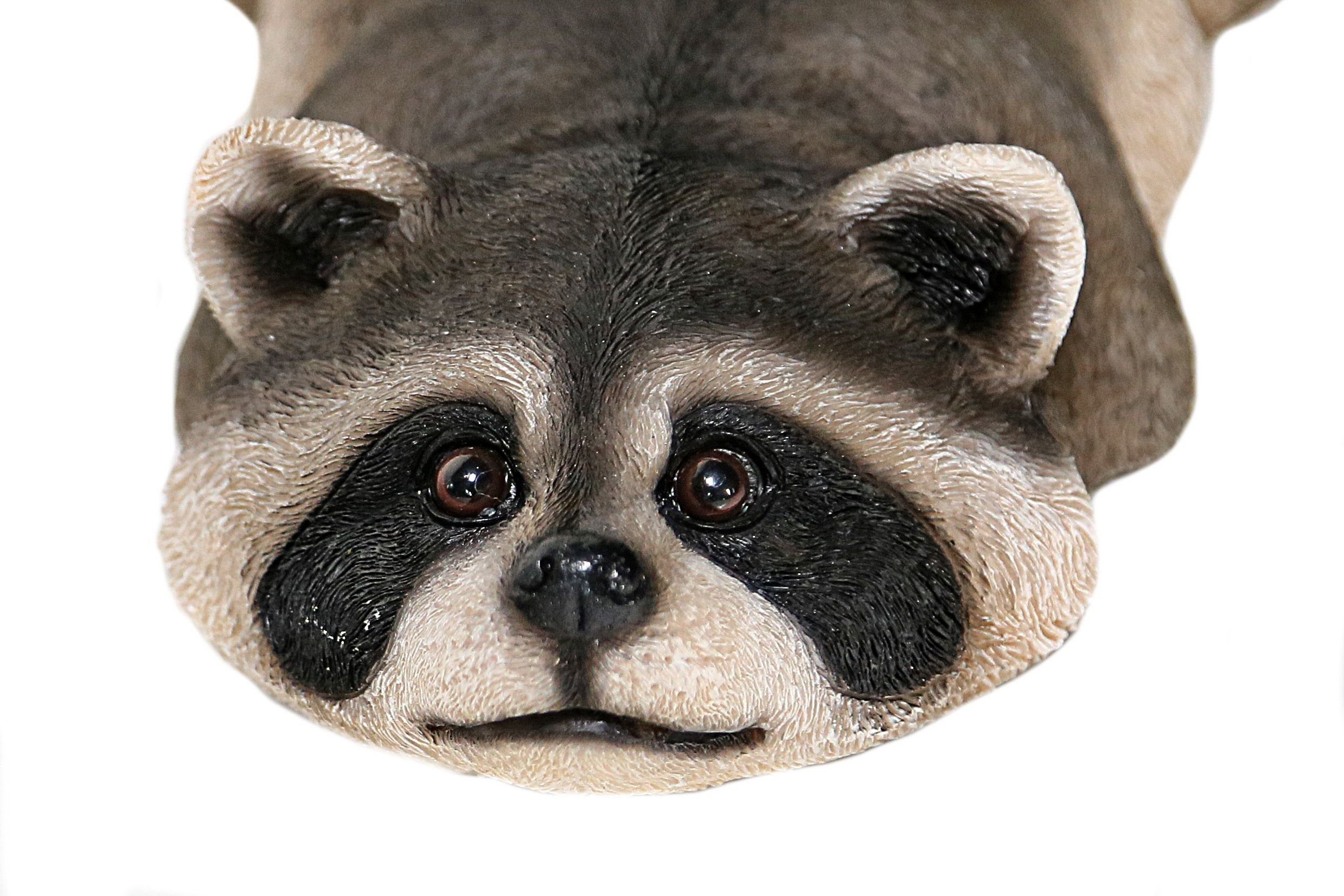 Casa Collection by Jänig Tierfigur Waschbär günstig online kaufen
