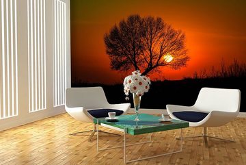 WandbilderXXL Fototapete Sonnenuntergang, glatt, Food, Vliestapete, hochwertiger Digitaldruck, in verschiedenen Größen