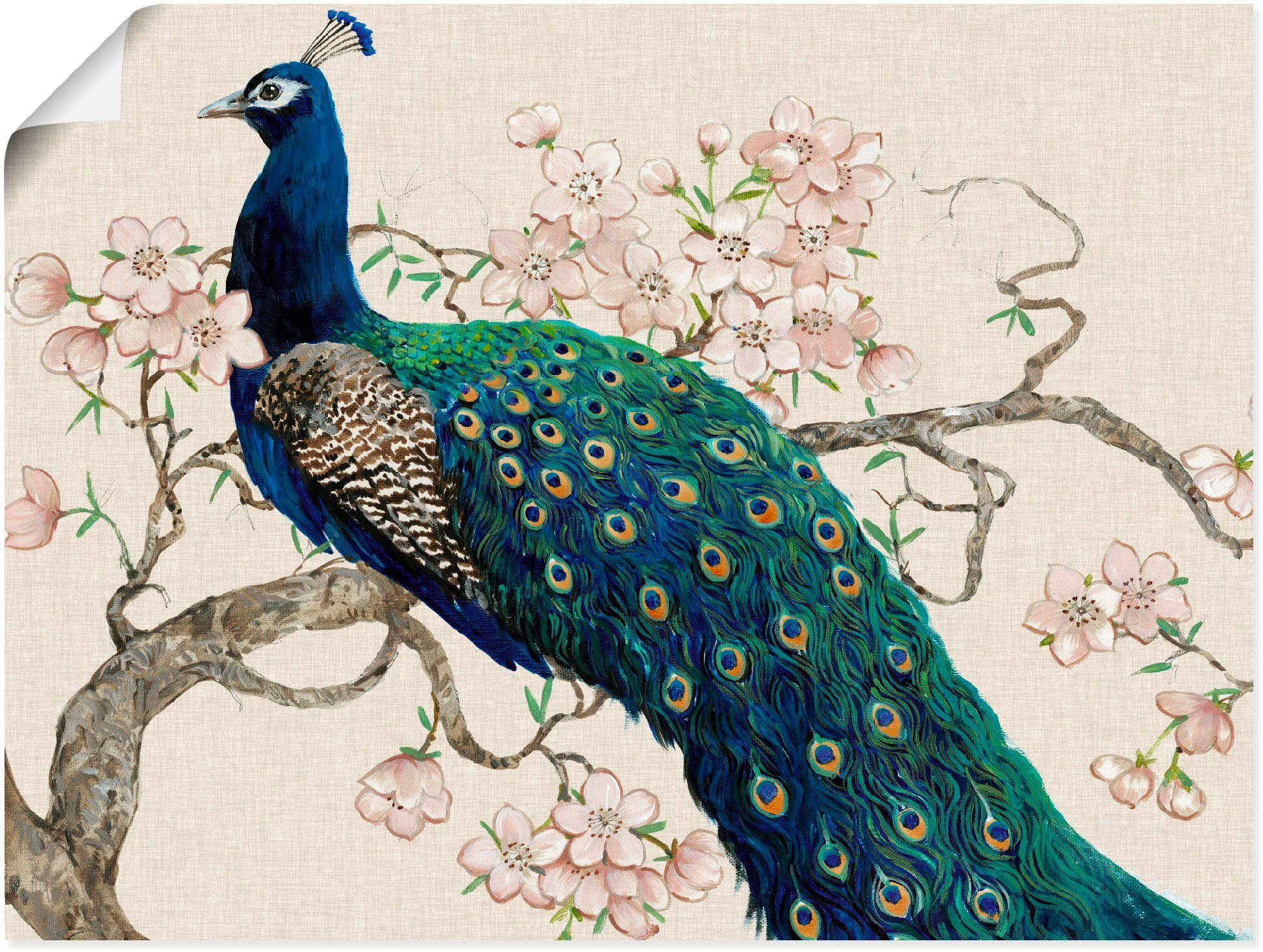 Artland Wandbild Pfau & Blüten II, Vögel (1 St), als Alubild, Leinwandbild, Wandaufkleber oder Poster in versch. Größen