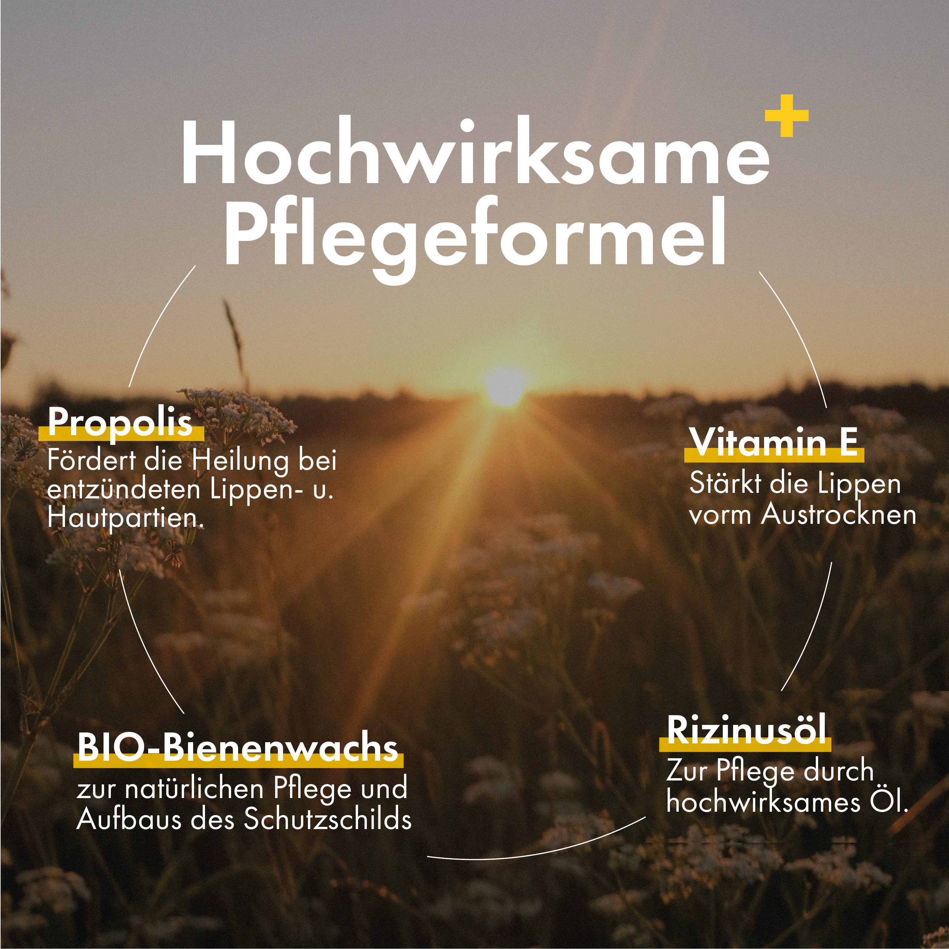 HC PRODUCTS Lippenstift Propolis Lippenpflege PUR – zertifizierte Naturkosmetik