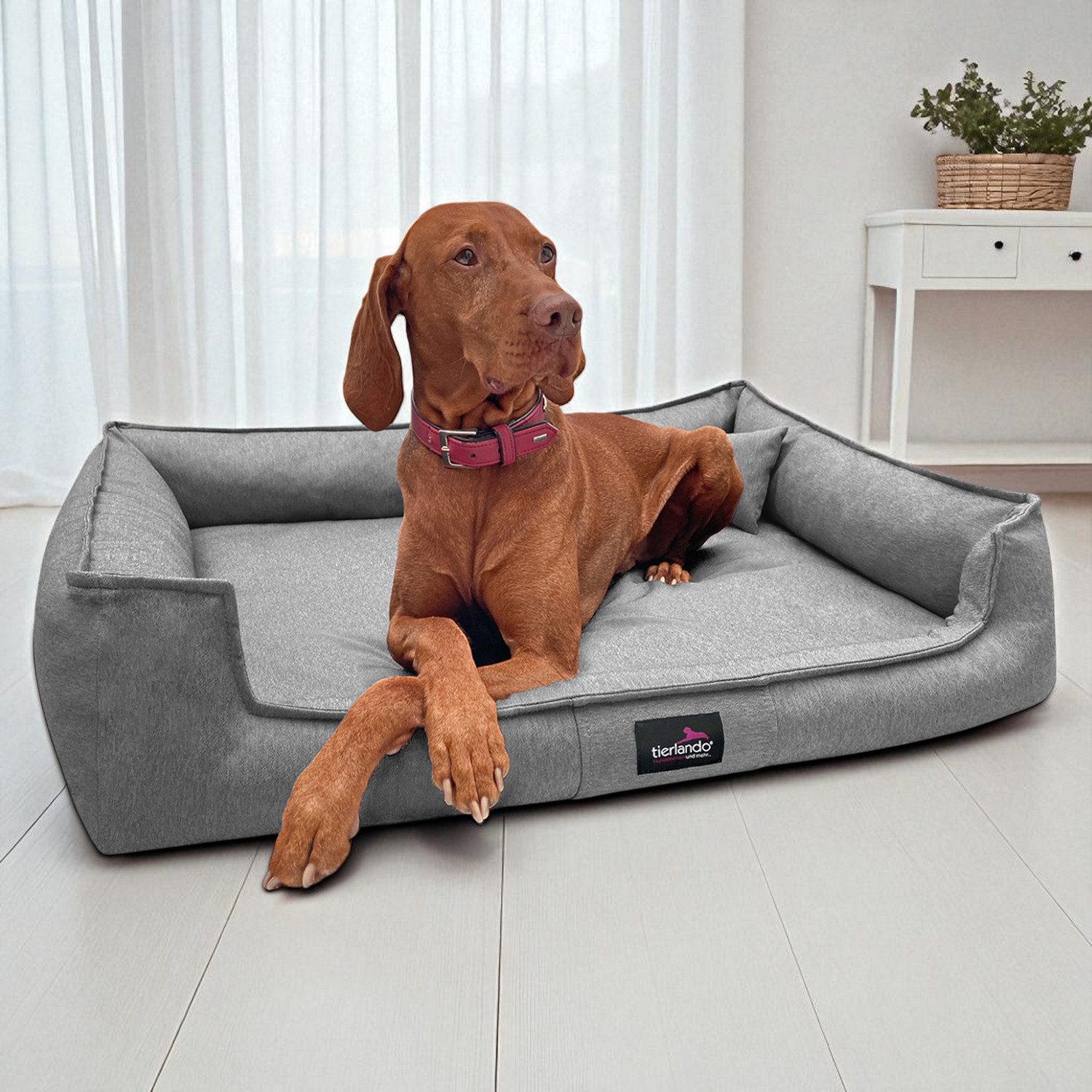 tierlando® Tierbett Orthopädisches Hundebett GUSTAV SCANDI günstig online kaufen