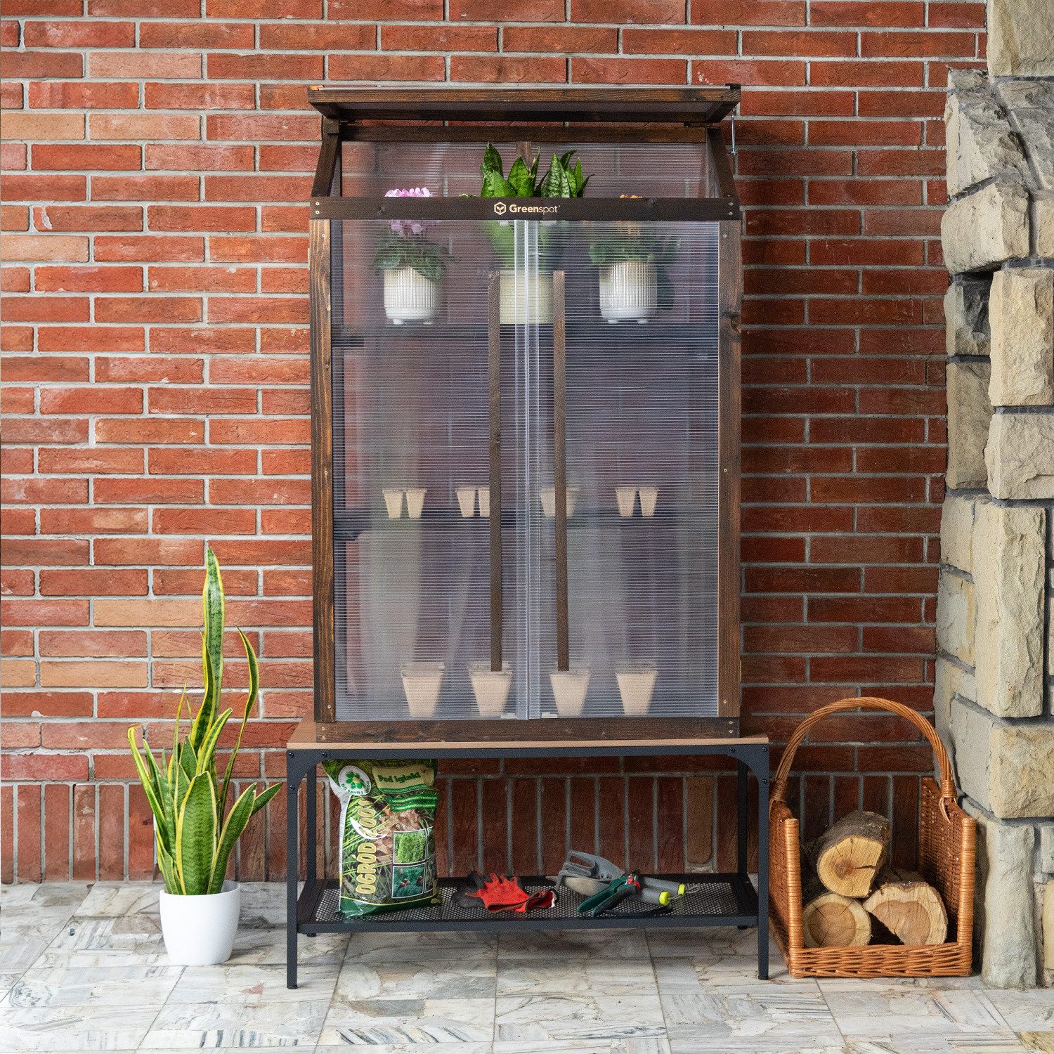 QLS Gewächshaus Mini für Balkon Palisa...