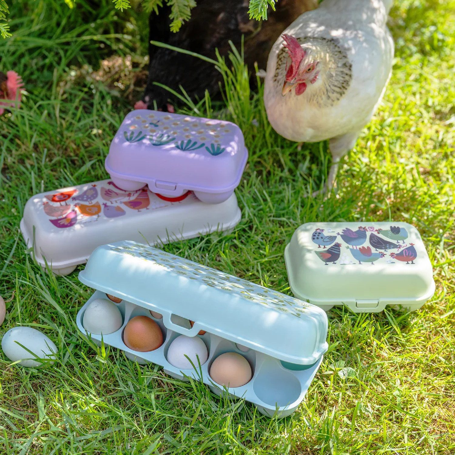 KOZIOL Eierkorb Eierbox Eggs To Go Mini, Bloomies daisy, Kunststoff