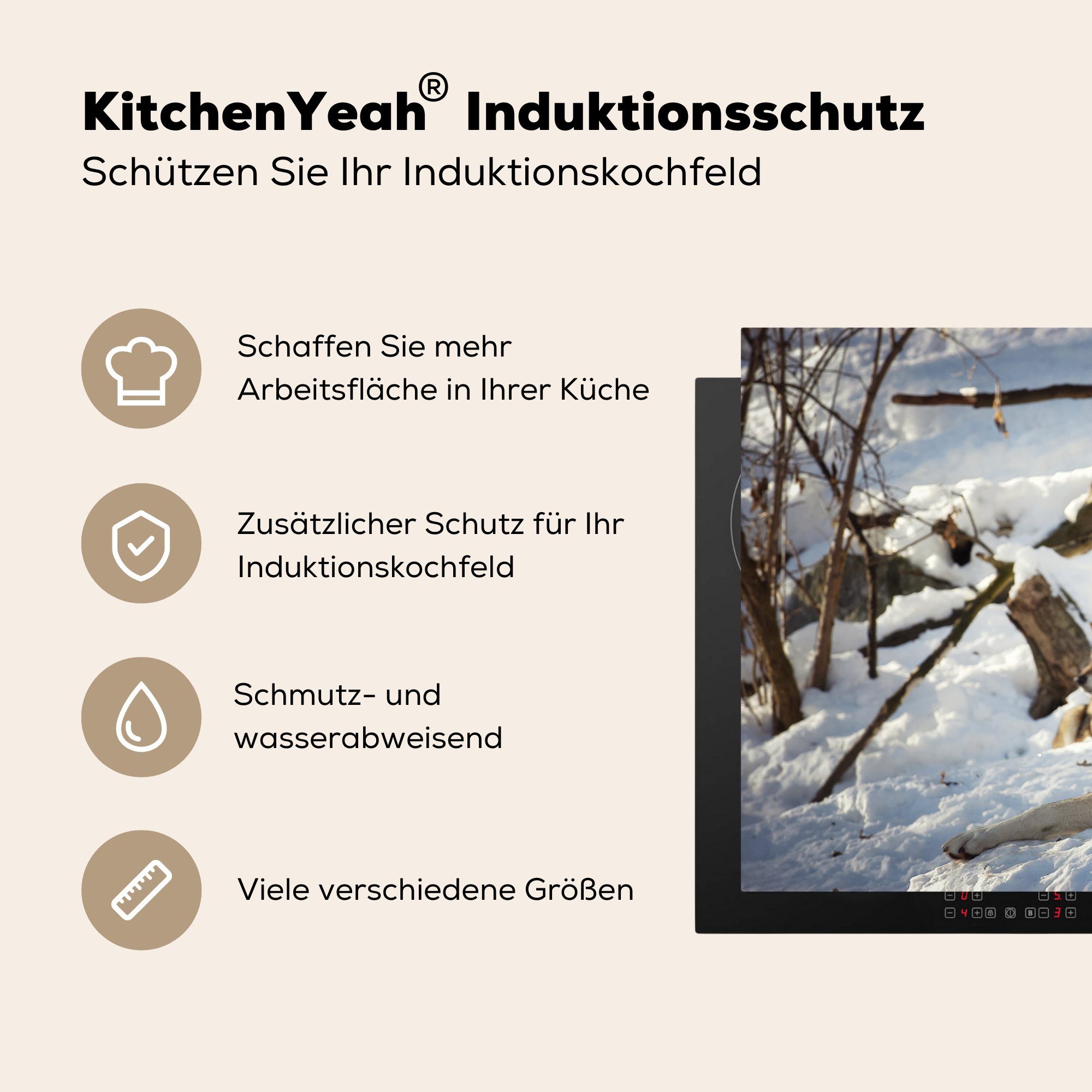Schutz - MuchoWow 81x52 Wolf (1 tlg), Herdblende-/Abdeckplatte - Schnee Vinyl, die cm, für küche, Induktionskochfeld Ceranfeldabdeckung Wald,