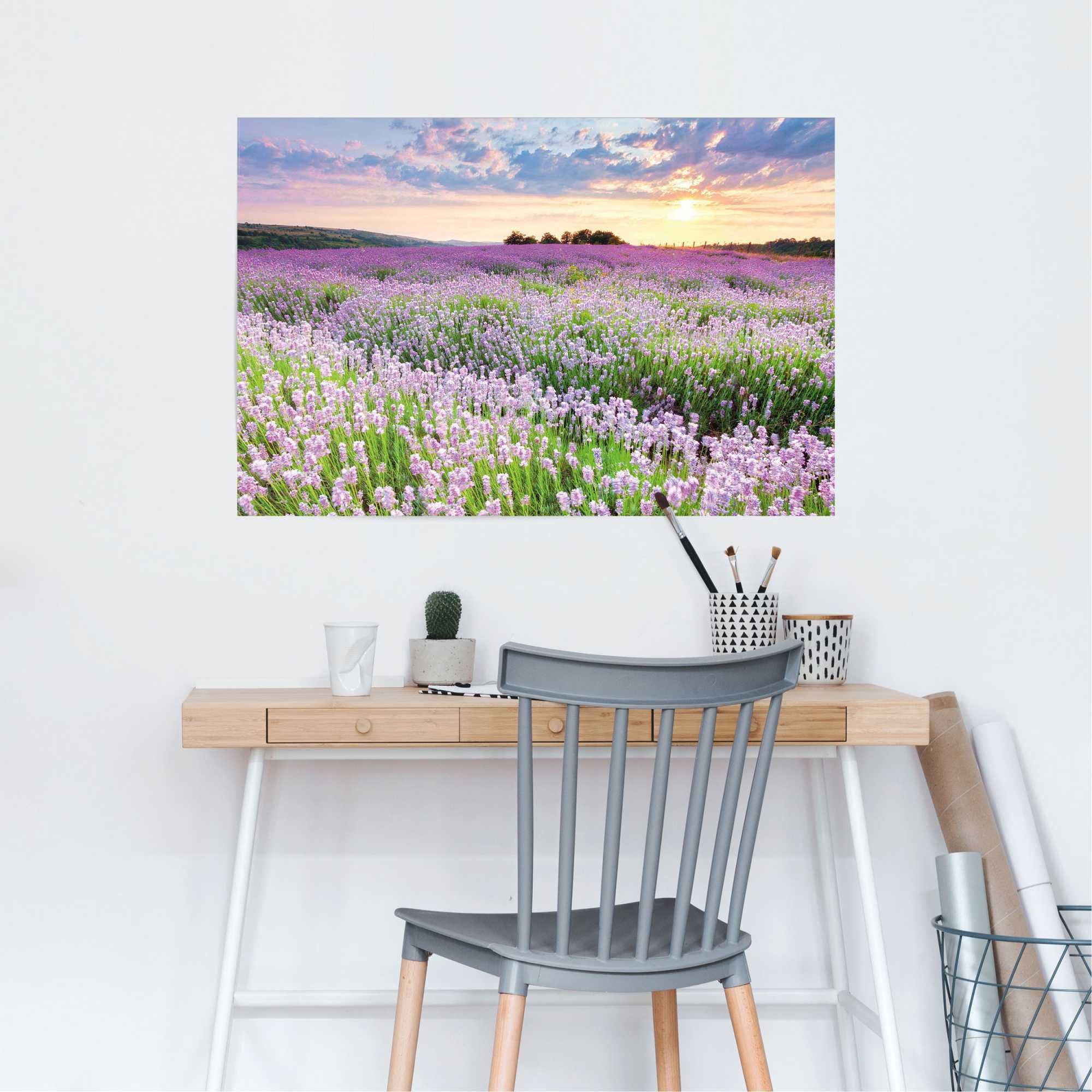 Reinders! Poster Lavendelfeld, Hobbyraum - Lila - 150 gr. Papier - Blumen u günstig online kaufen