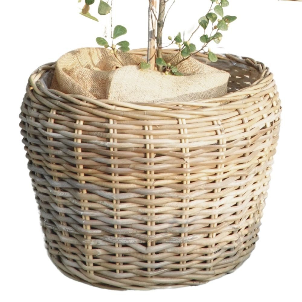 Dekokorb Natur Rattankorb GINI Natural Grey ca.46x36cm Pflanzkorb Übertopf