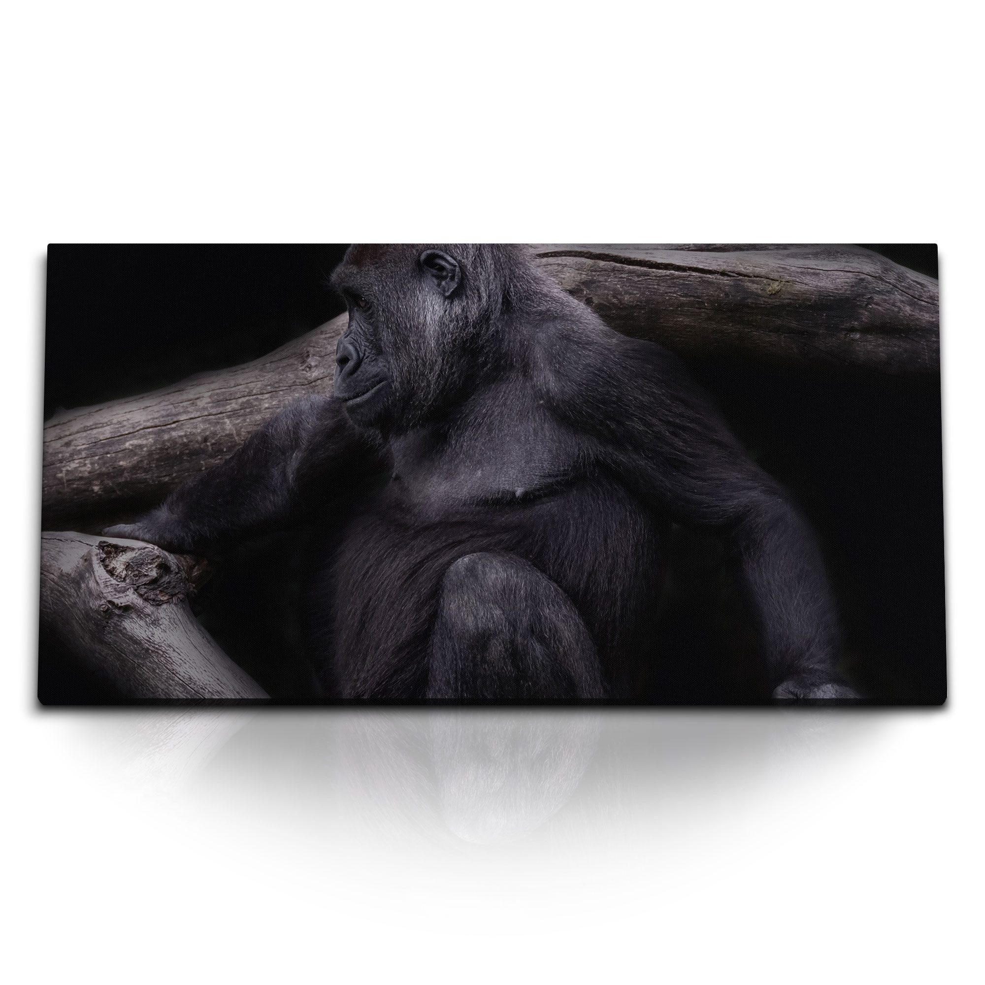 Sinus Art Leinwandbild Kunstdruck Bilder 120x60cm Gorilla Tierfotografie Baumstamm Schwarz Af, (1 St)
