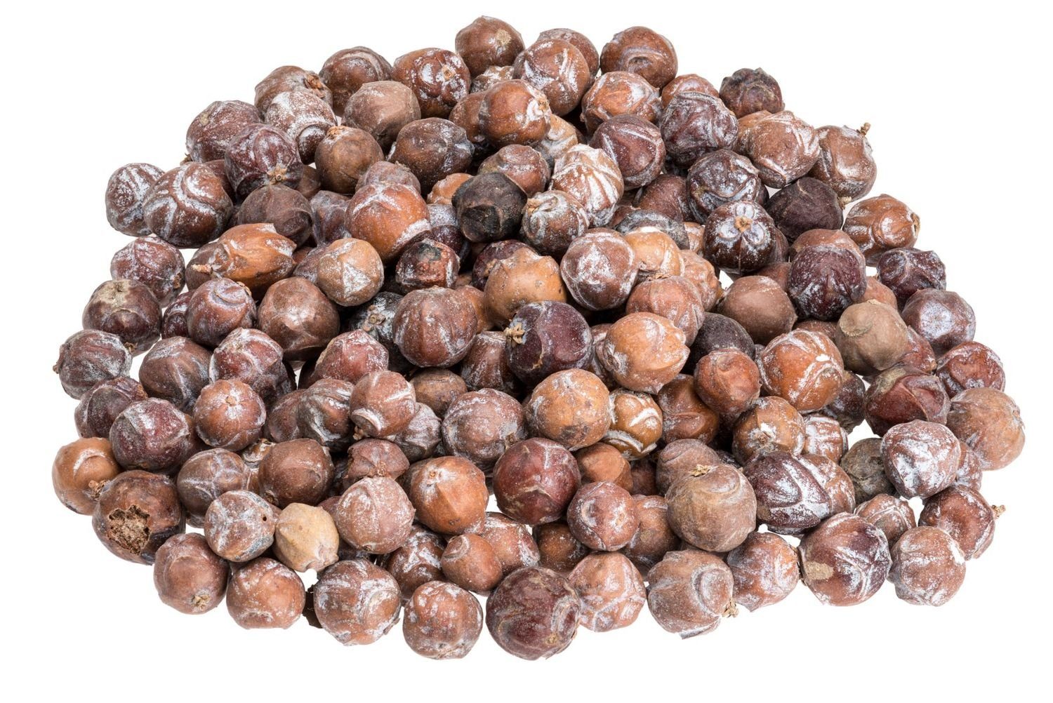 NaDeco Bastelnaturmaterial Estrelinia-Zapfen in Natur, 1kg, Größe 1-2cm Tannenzapfen