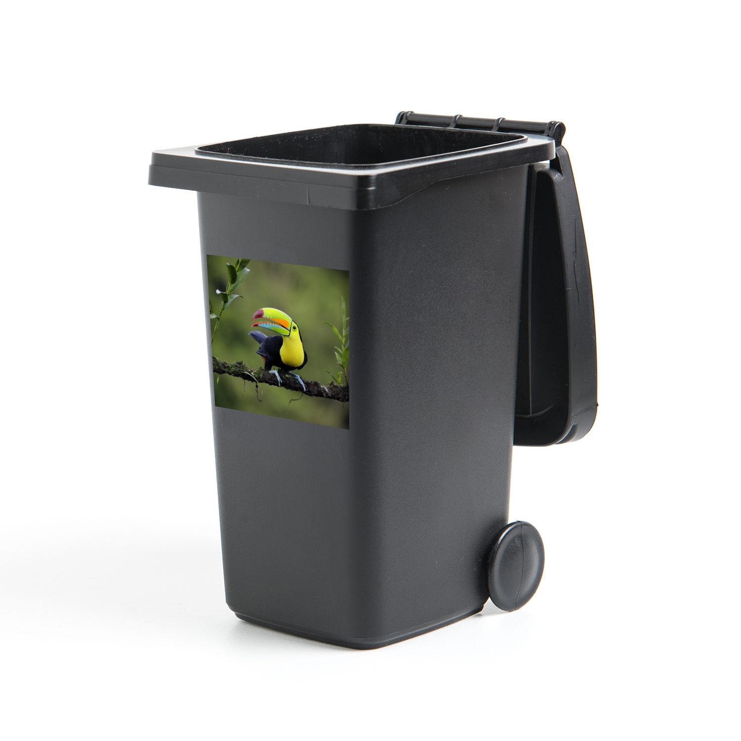 MuchoWow Wandsticker Ein Tukan auf einem Ast in einer schönen Grünanlage (1 St), Mülleimer-aufkleber, Mülltonne, Sticker, Container, Abfalbehälter