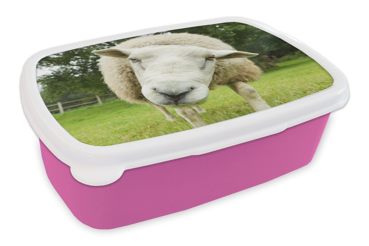 MuchoWow Lunchbox Schaf - Lustig - Wiese - Kinder - Jungen - Mädchen - Kind, Kunststoff, (2-tlg), Brotbox für Erwachsene, Brotdose Kinder, Snackbox, Mädchen, Kunststoff rosa