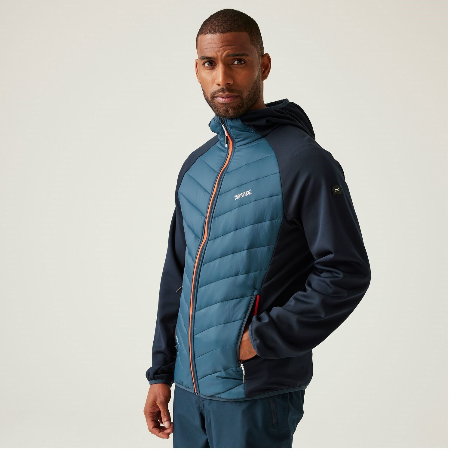 Regatta Softshelljacke Hybrid Steppjacke Andreson VIII günstig online kaufen
