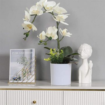 Kunstbonsai Simulierte Topfpflanzen, künstliche Blumen, künstliche Topfpflanzen, AFAZ New Trading UG, Trockenblume Kunsttulpe Kunstpflanze Künstliche Zimmerpflanze