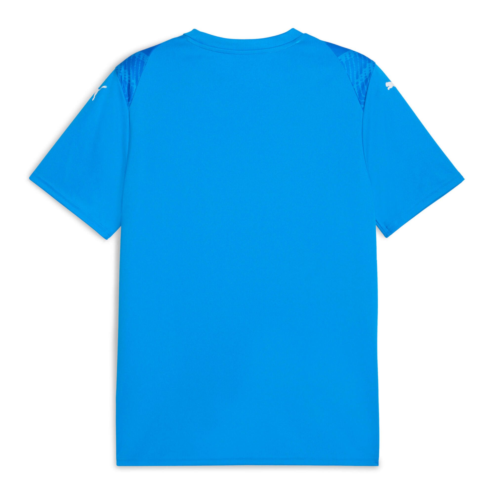 PUMA Fußballtrikot Puma Herren Trikot teamULTIMATE Jersey 706280