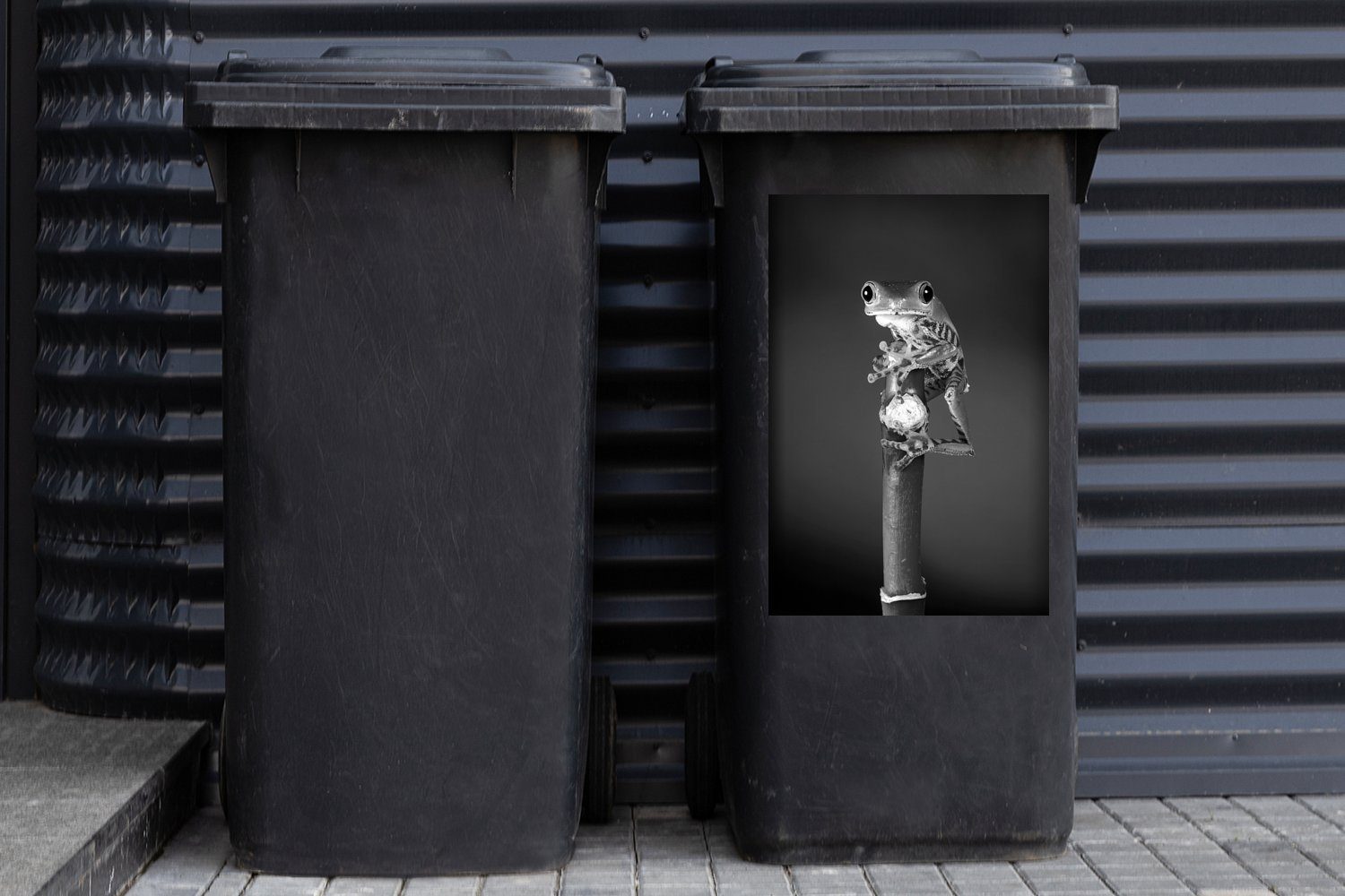 St), weiß schwarz - (1 Mülleimer-aufkleber, Container, Sticker, auf Wandsticker MuchoWow Pflanze einer Mülltonne, Nahaufnahme und Frosch Abfalbehälter