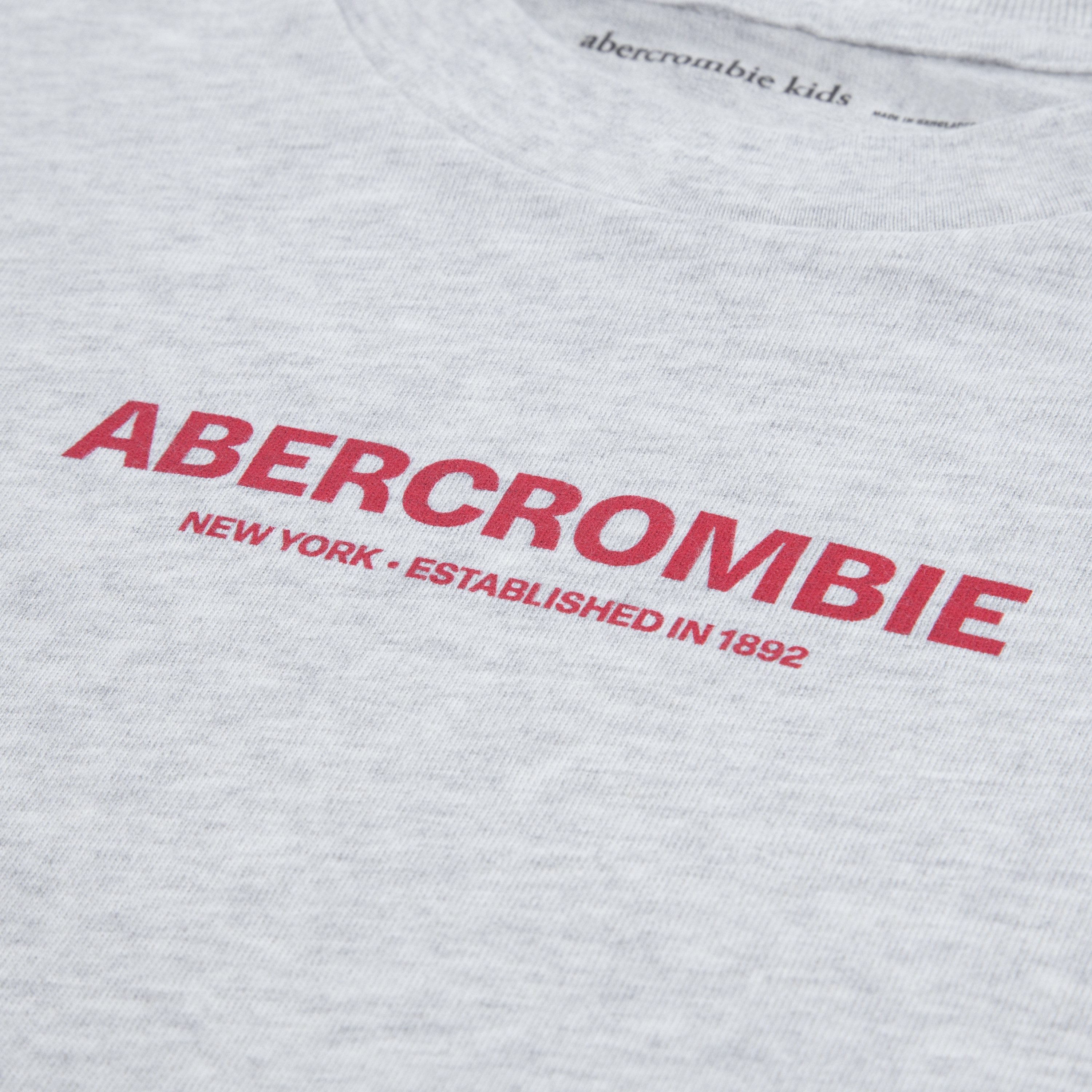 Abercrombie Kids Langarmshirt AFB GRAPHIC 2FER TEE Sweater / farblich abgesetzte Ärmel und Druck / für Boys – Bild 3 von 4