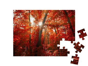 puzzleYOU Puzzle Roter Herbstwald mit Sonnenlicht, 48 Puzzleteile, puzzleYOU-Kollektionen Wälder, Wald & Bäume