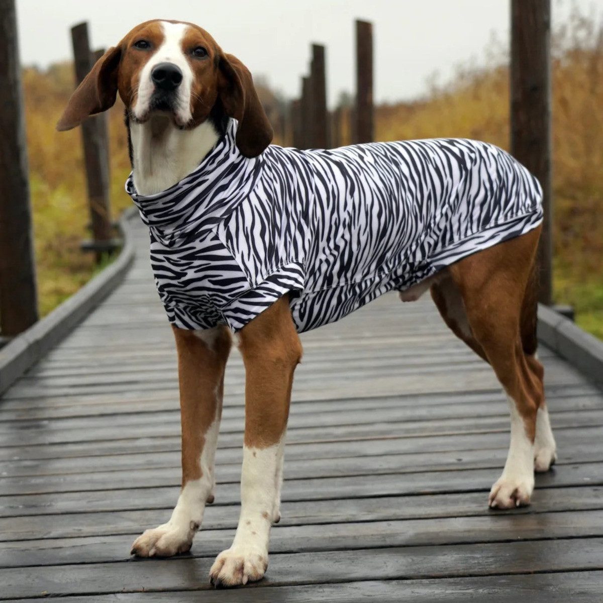 PAIKKA Hundeshirt Hundeshirt Sonnenschutz/Antiparasit "UV & Bug Shirt Edition 2025