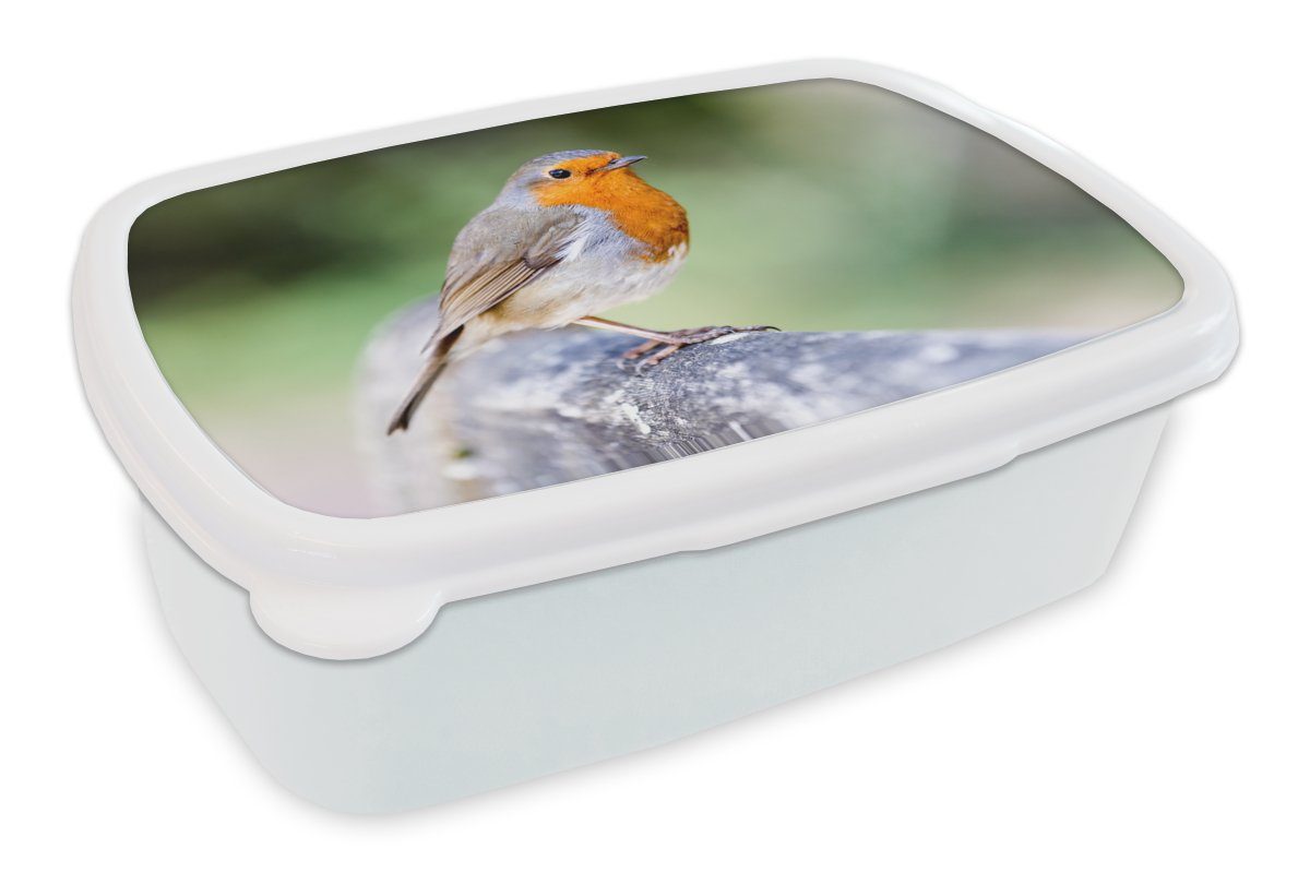 MuchoWow Lunchbox Rotkehlchen - Ast - Holz, Kunststoff, (2-tlg), Brotbox für Kinder und Erwachsene, Brotdose, für Jungs und Mädchen weiß