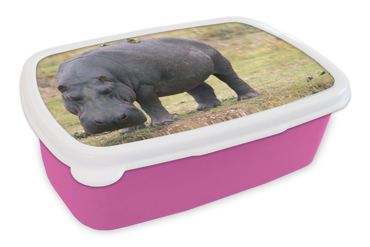 MuchoWow Lunchbox Nilpferd - für Mädchen, (2-tlg), Gras, Snackbox, Kunststoff Brotdose Kinder, rosa Brotbox Erwachsene, Kunststoff