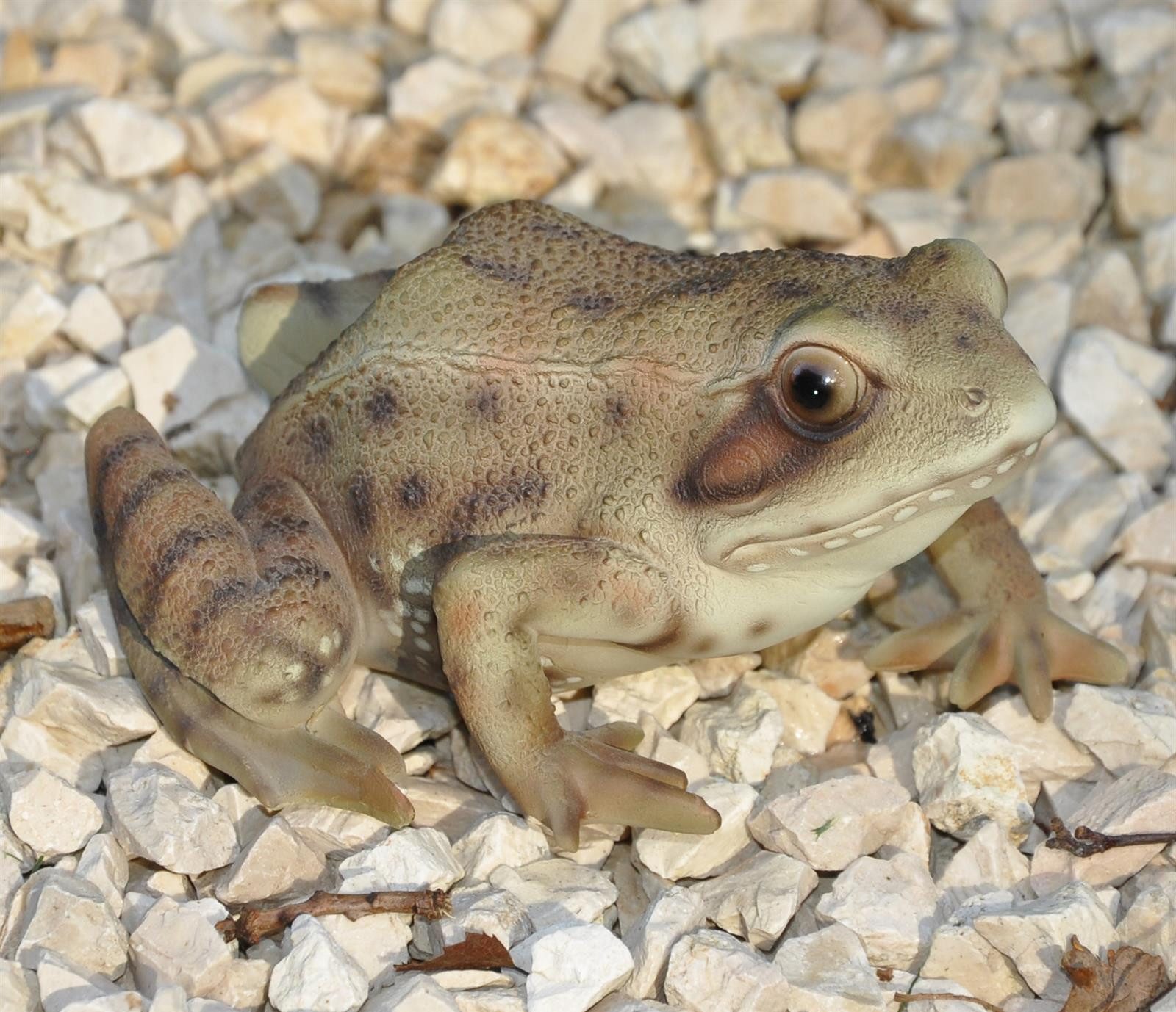 dazikemo Gartenfigur Gartenfigur Teichfigur Dekofigur Frosch