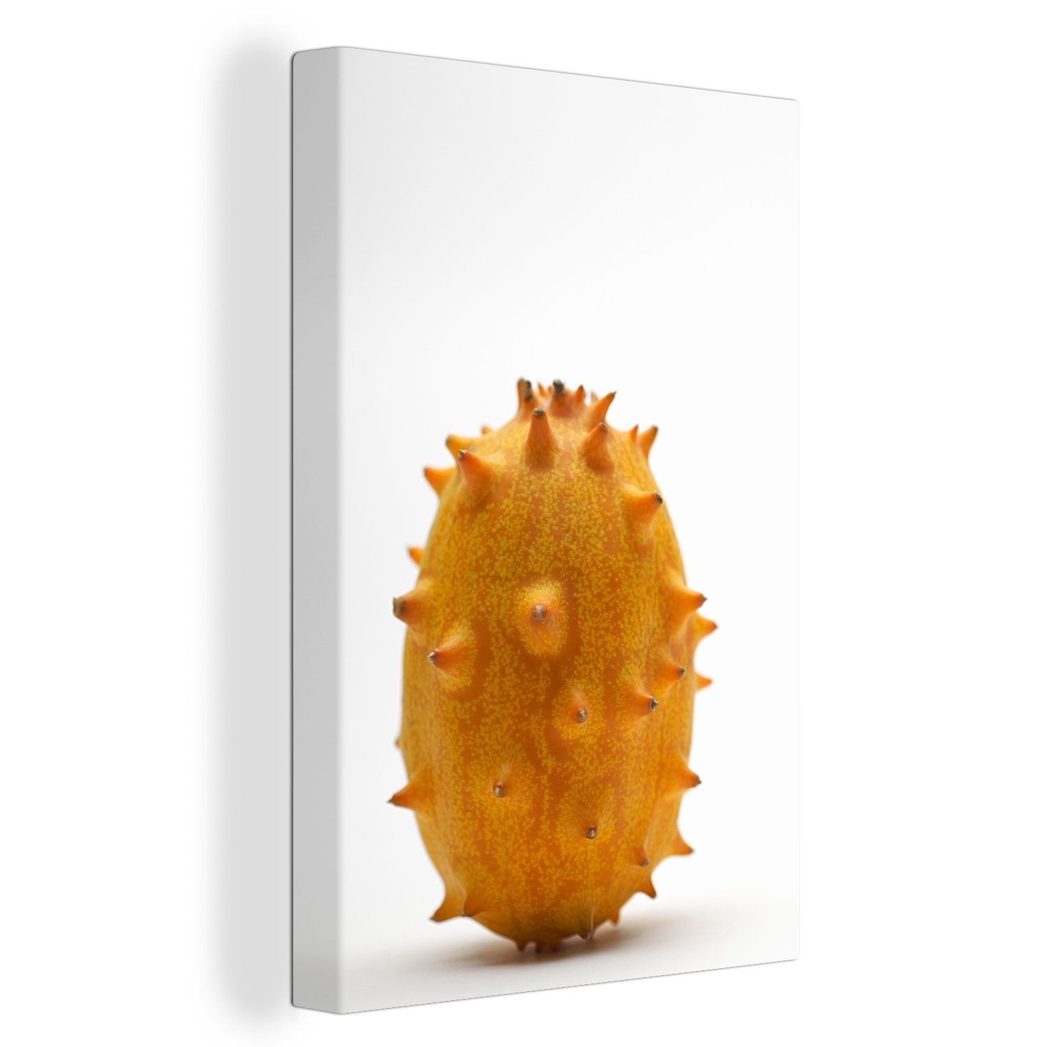 OneMillionCanvasses® Leinwandbild Melone - Stiel - weiß, (1 St), Leinwandbild fertig bespannt inkl. Zackenaufhänger, Gemälde, 20x30 cm