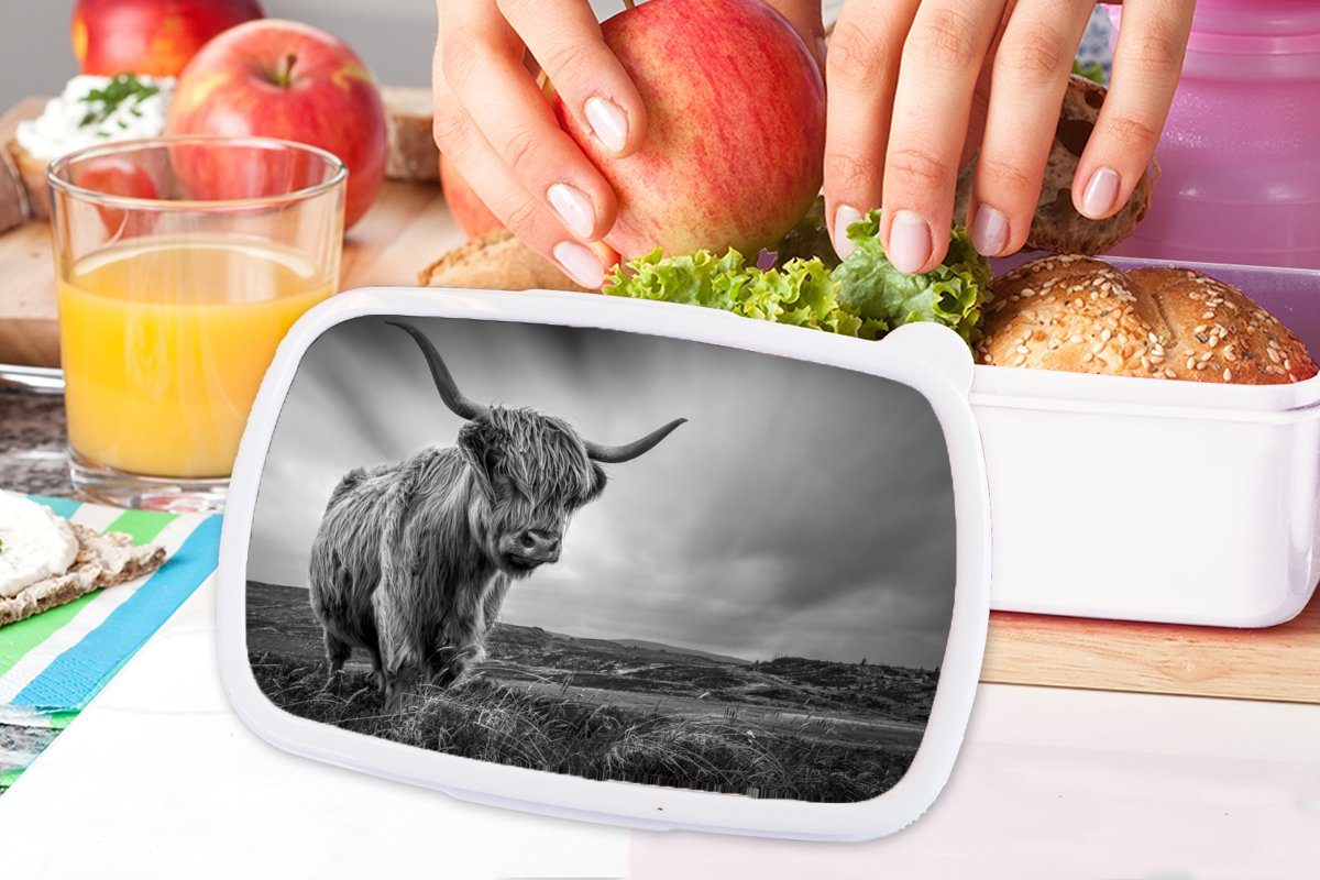 MuchoWow Lunchbox Kühe Hochlandkühe (2-tlg), - weiß, Brotdose, Kinder - und - Schwarz Kunststoff, Mädchen Natur für und Erwachsene, Brotbox Jungs Tiere und Schottische für 
