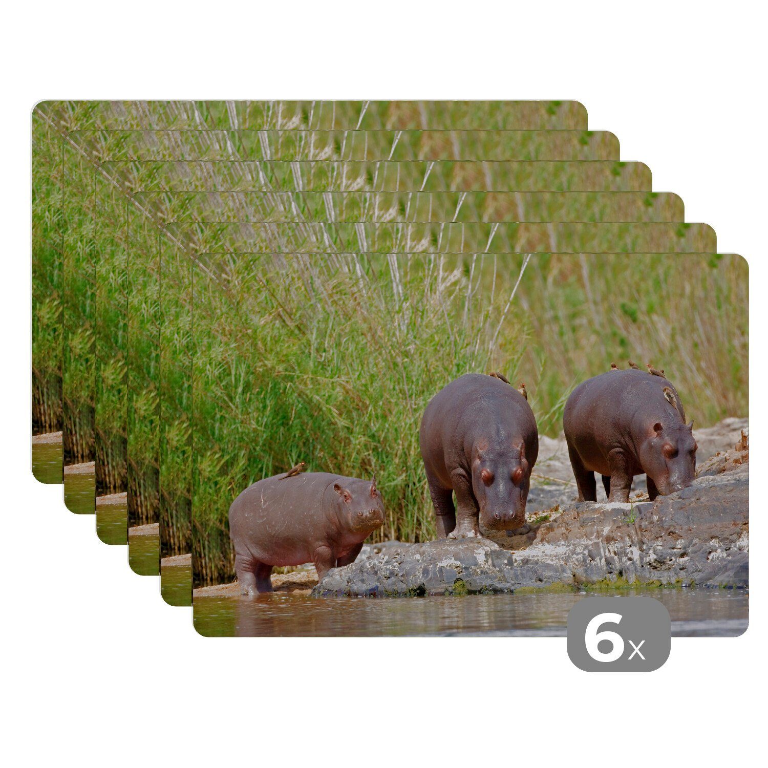Südafrika, - Platzdecken, Wasser Flusspferde (6-St), Platzset, Tischmatten, Schmutzabweisend MuchoWow, - Platzset, Platzmatte,