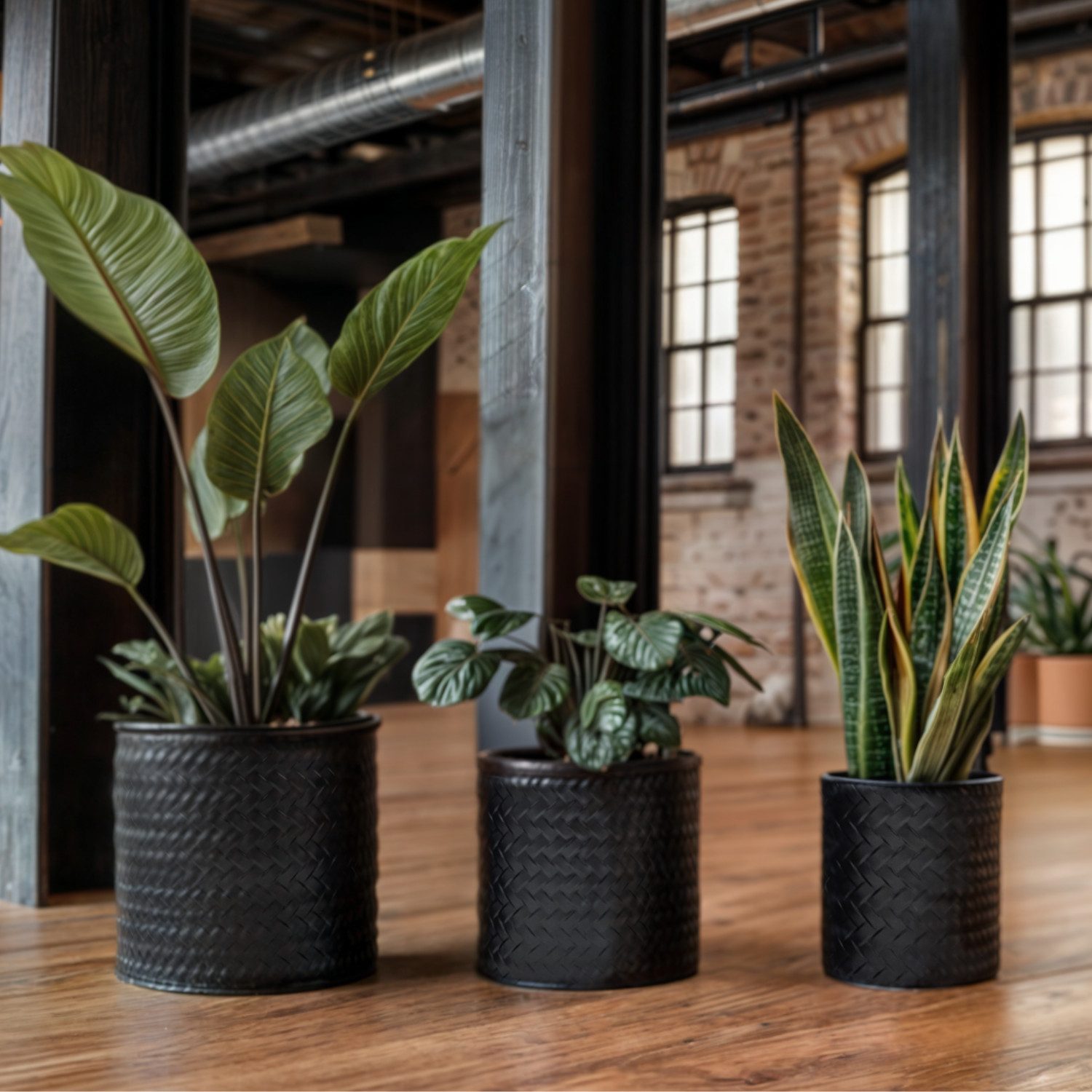 Meinposten Blumentopf Blumentopf Übertopf Pflanzenkübel 3er Set schwarz rund Metall (3er Set, 3 St), Das Set ist Wasserdicht geeignet für Innen- wie Außenbereic – Bild 3 von 5