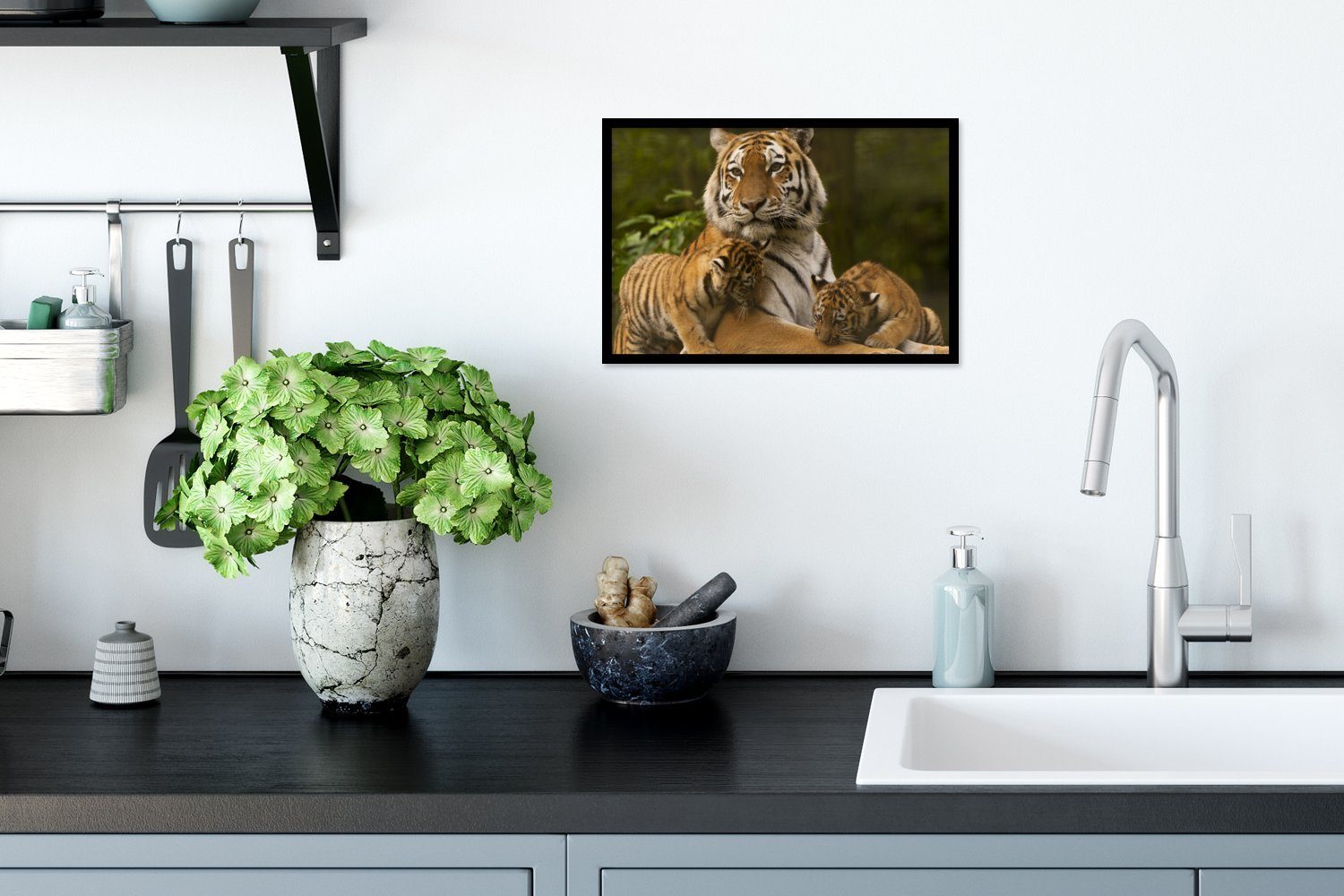 - Wanddeko, Poster, St), Schwarzem Wandposter, Natur, Poster (1 Bilderrahmen Jungtiere Gerahmtes Tiger MuchoWow - Bilder,