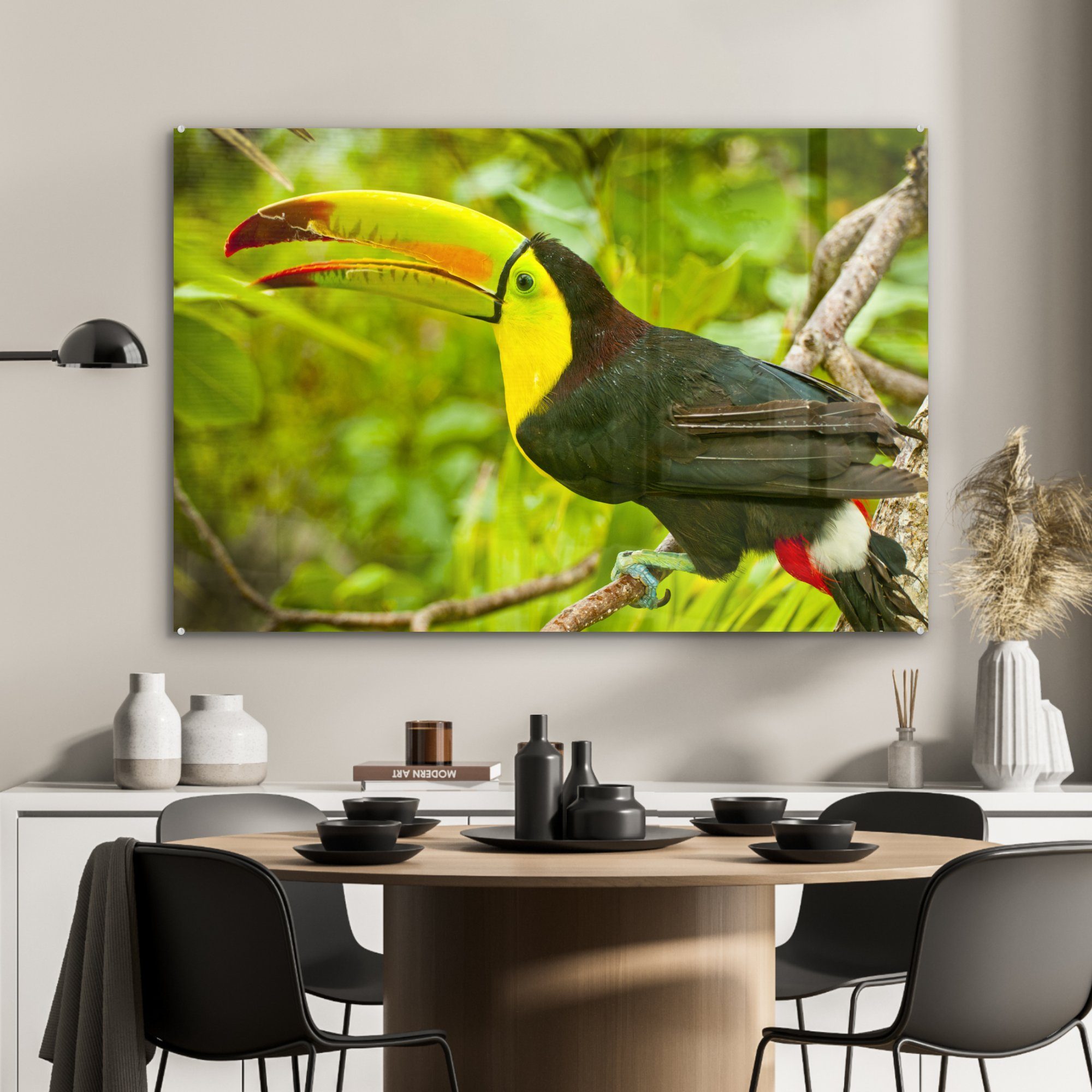 Wald, Acrylglasbild Wohnzimmer Acrylglasbilder im St), (1 Vogel Schlafzimmer MuchoWow Schwefelbrusttukan &