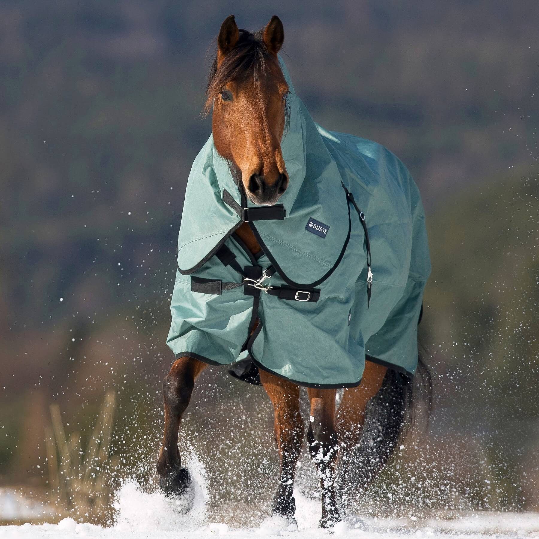 BUSSE Pferde-Thermodecke BUSSE Outdoordecke FLEXIBLE PRO 250, mit 250g Wärmeisolierung