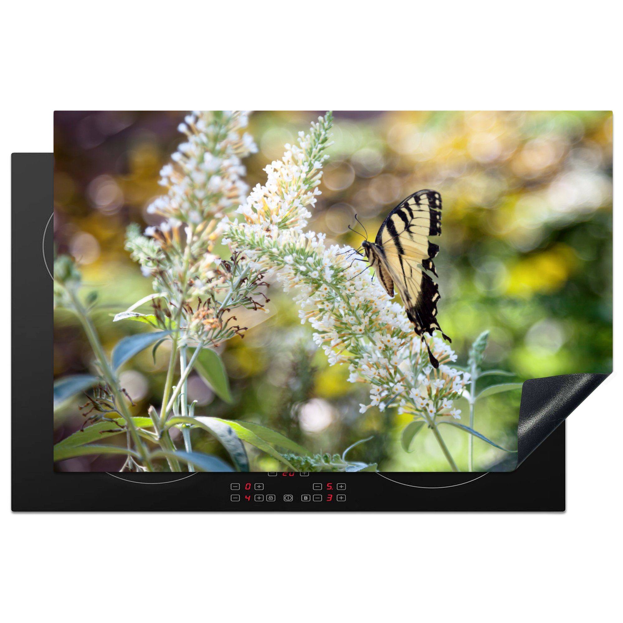 MuchoWow Herdblende-/Abdeckplatte Papilio glaucus Schmetterling auf einem weißen Schmetterlingsstrauch, Vinyl, (1 tlg), 81x52 cm, Induktionskochfeld Schutz für die küche, Ceranfeldabdeckung