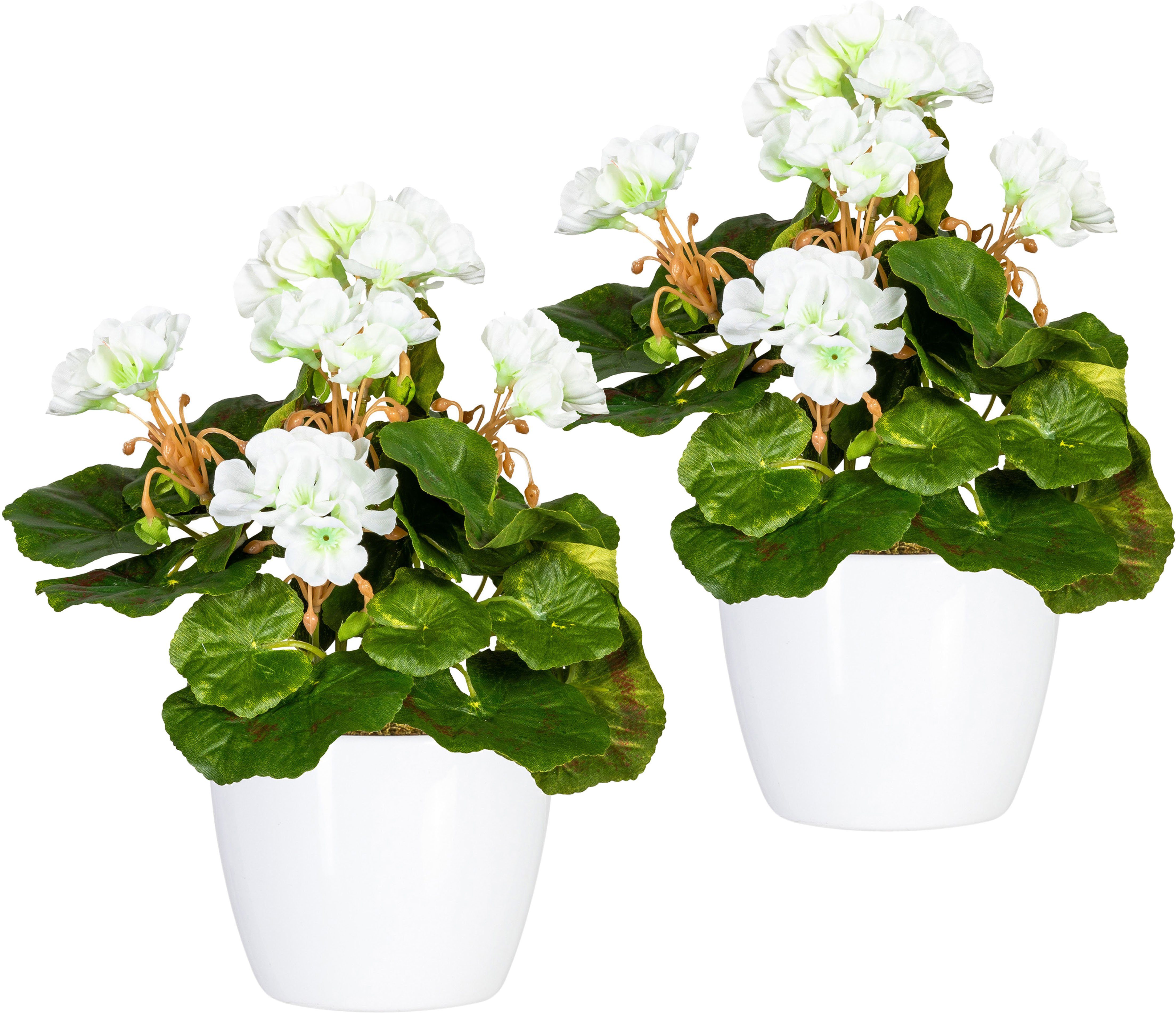 Kunstpflanze Havel Geranie, Home affaire, Höhe 24 cm, im Topf, 2er Set günstig online kaufen