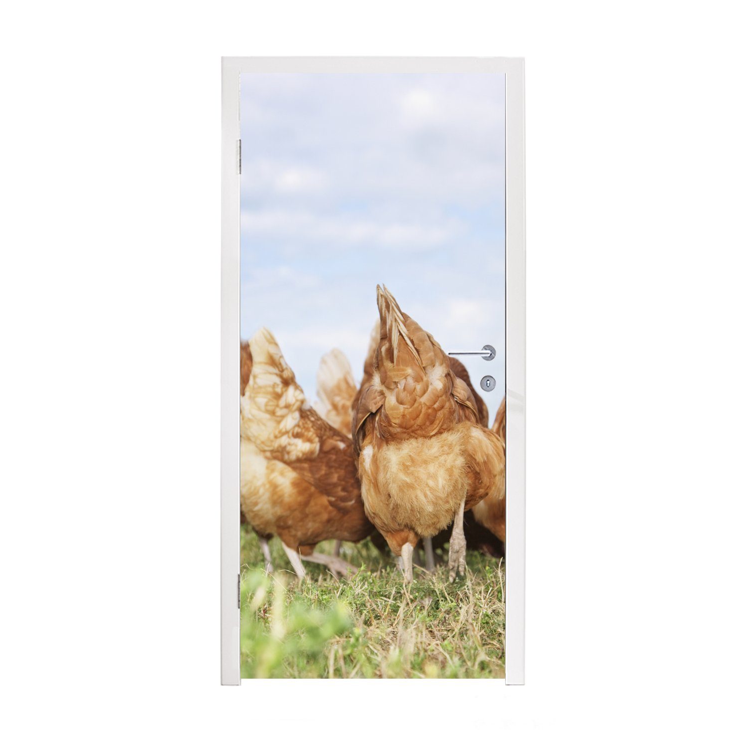 MuchoWow Türtapete Hühner auf dem Feld, Matt, bedruckt, (1 St), Fototapete für Tür, Türaufkleber, 75x205 cm