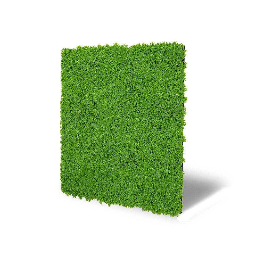 JANGAL 3D Wandpaneel Modular Wall, 520 x 520 mm, Design Moos, Grün