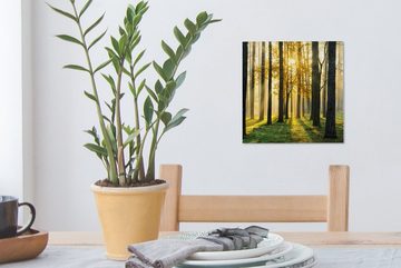 OneMillionCanvasses® Leinwandbild Wald - Sonne - Bäume - Gras - Landschaft - Natur, (1 St), Leinwand Bilder für Wohnzimmer Schlafzimmer