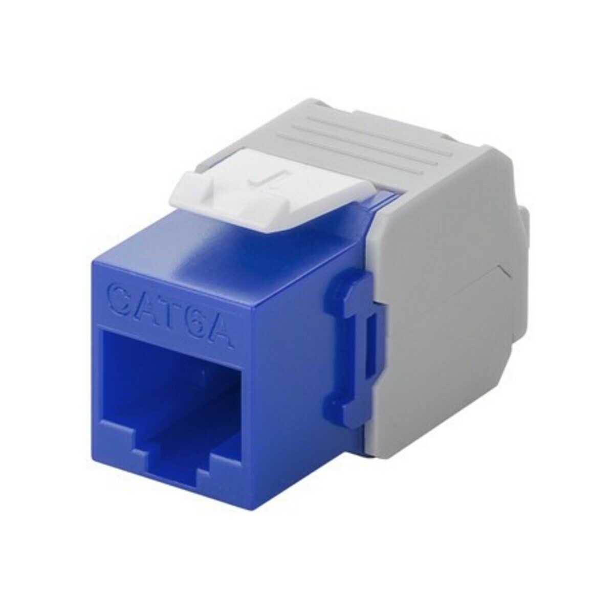 DSIT Netzwerkstecker CAT6a UTP Keystone Netzwerkstecker - Toolless - Blau