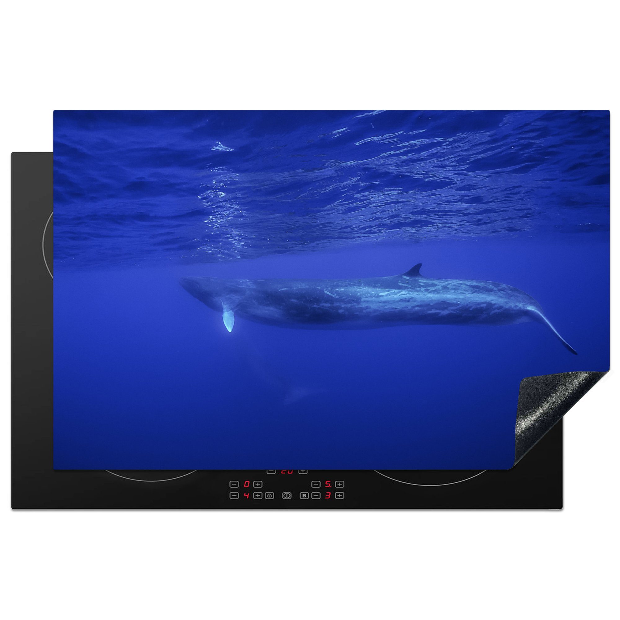 Blauwal, cm, - (1 81x52 Meerestiere Wale küche, MuchoWow tlg), - Ceranfeldabdeckung Vinyl, Induktionskochfeld Herdblende-/Abdeckplatte die Schutz für
