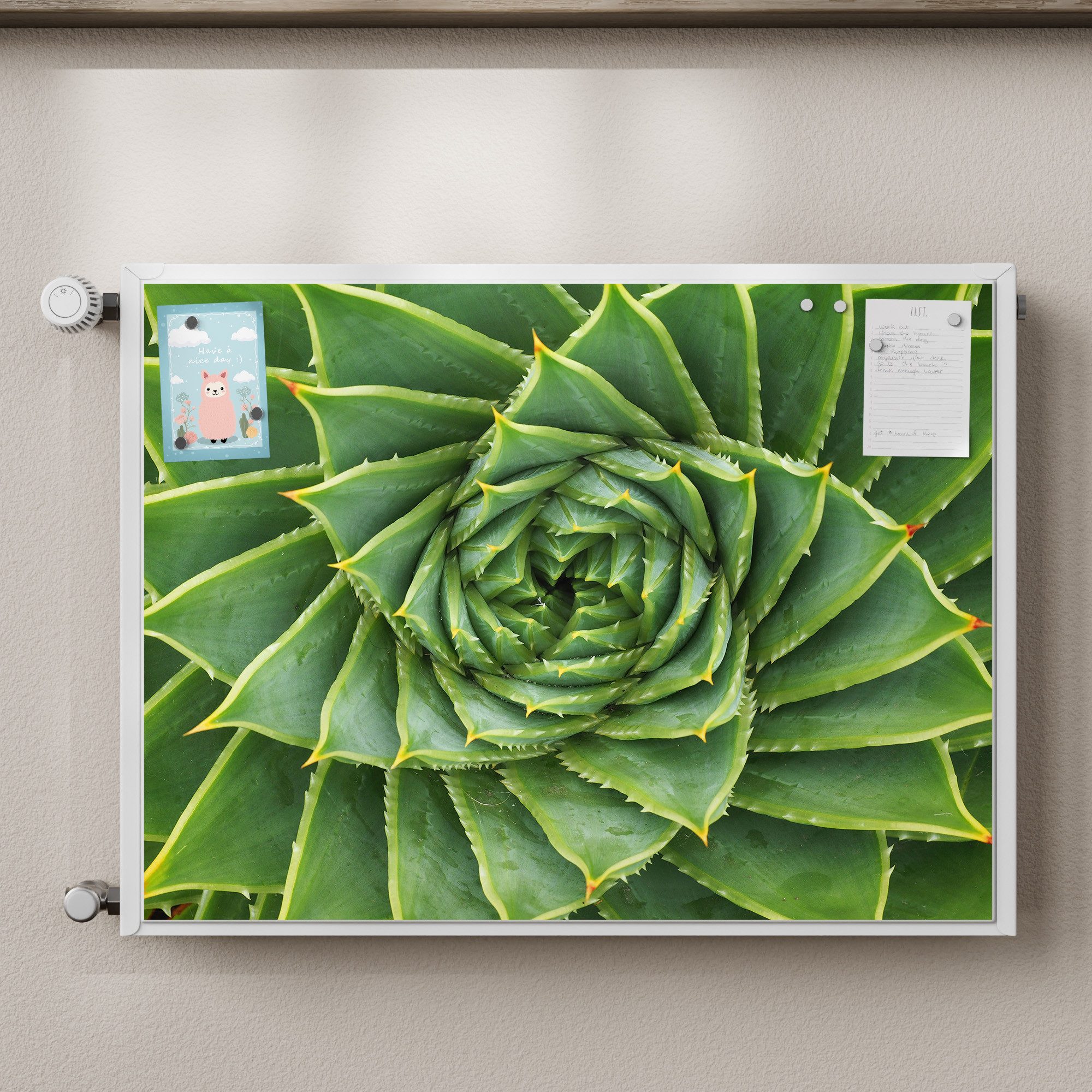 DEQORI Magnetfolie 'Alchemie der Aloe', beschreibbar Heizung Magnetmatte magnetisch Magnetfolie