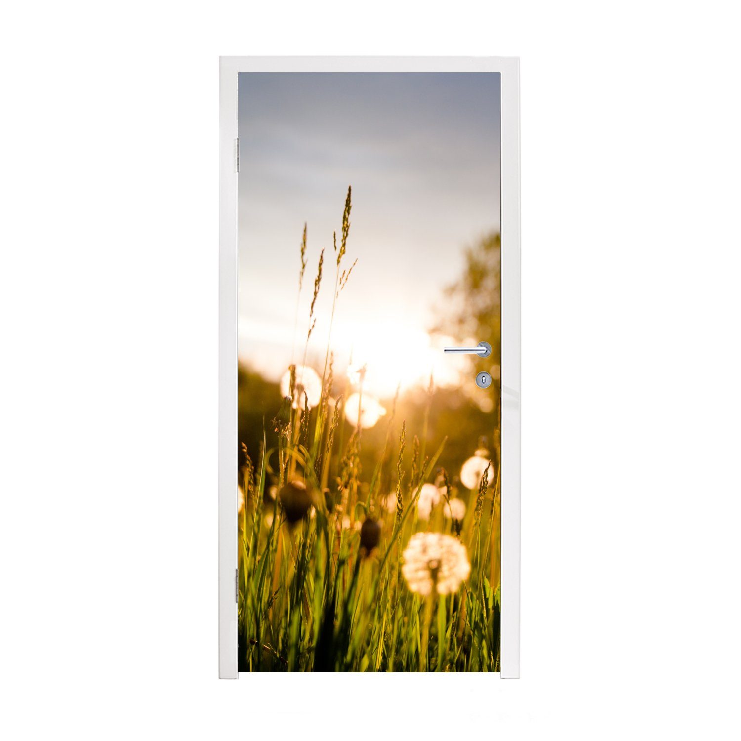 MuchoWow Türtapete Löwenzahn - Gras - Sonnenuntergang, Matt, bedruckt, (1 St), Fototapete für Tür, Türaufkleber, 75x205 cm