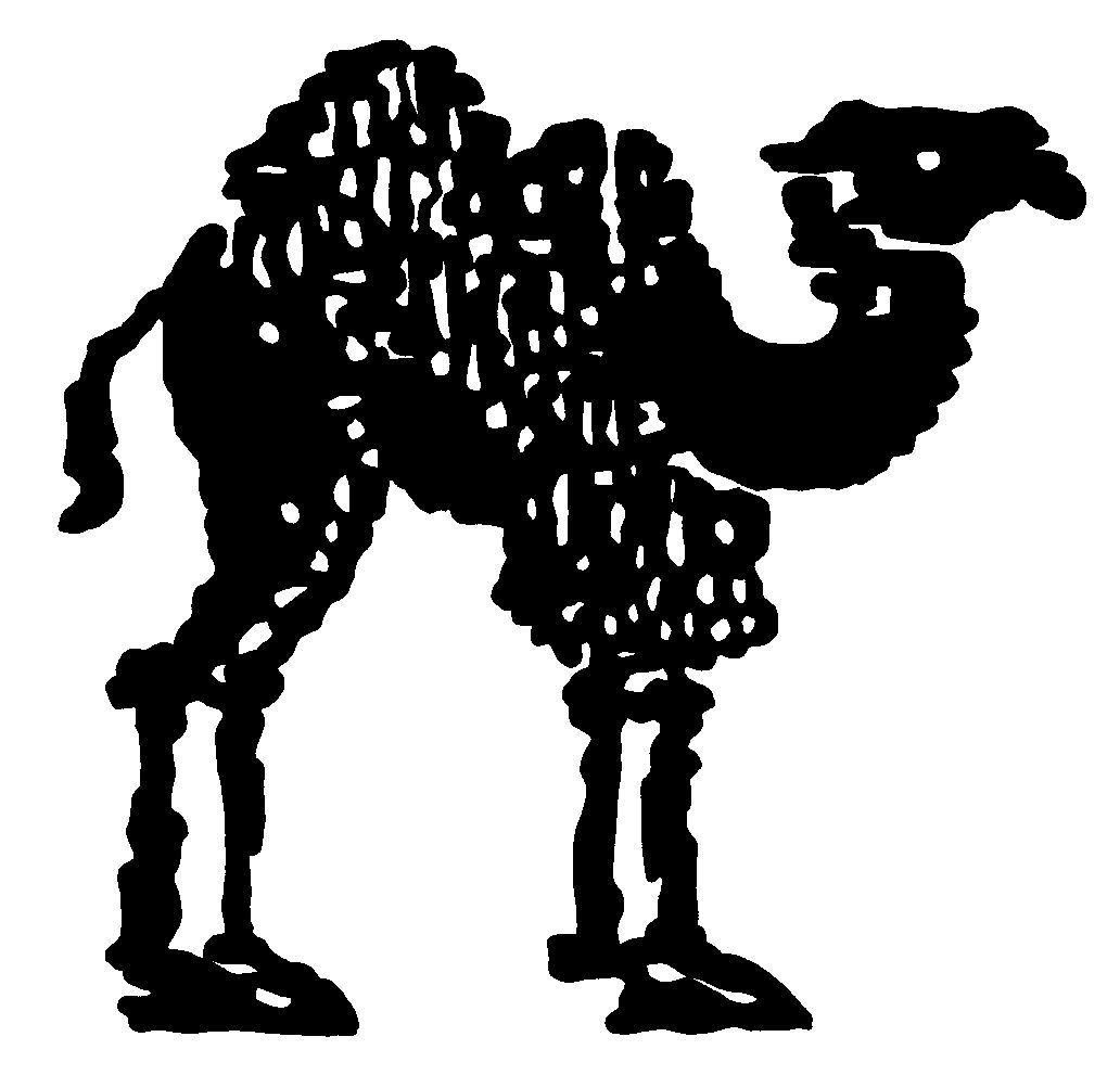 Sympathica Naturhaarbettdecke Edles Kamelhaar Duo Steppbett Winterbett Bett günstig online kaufen