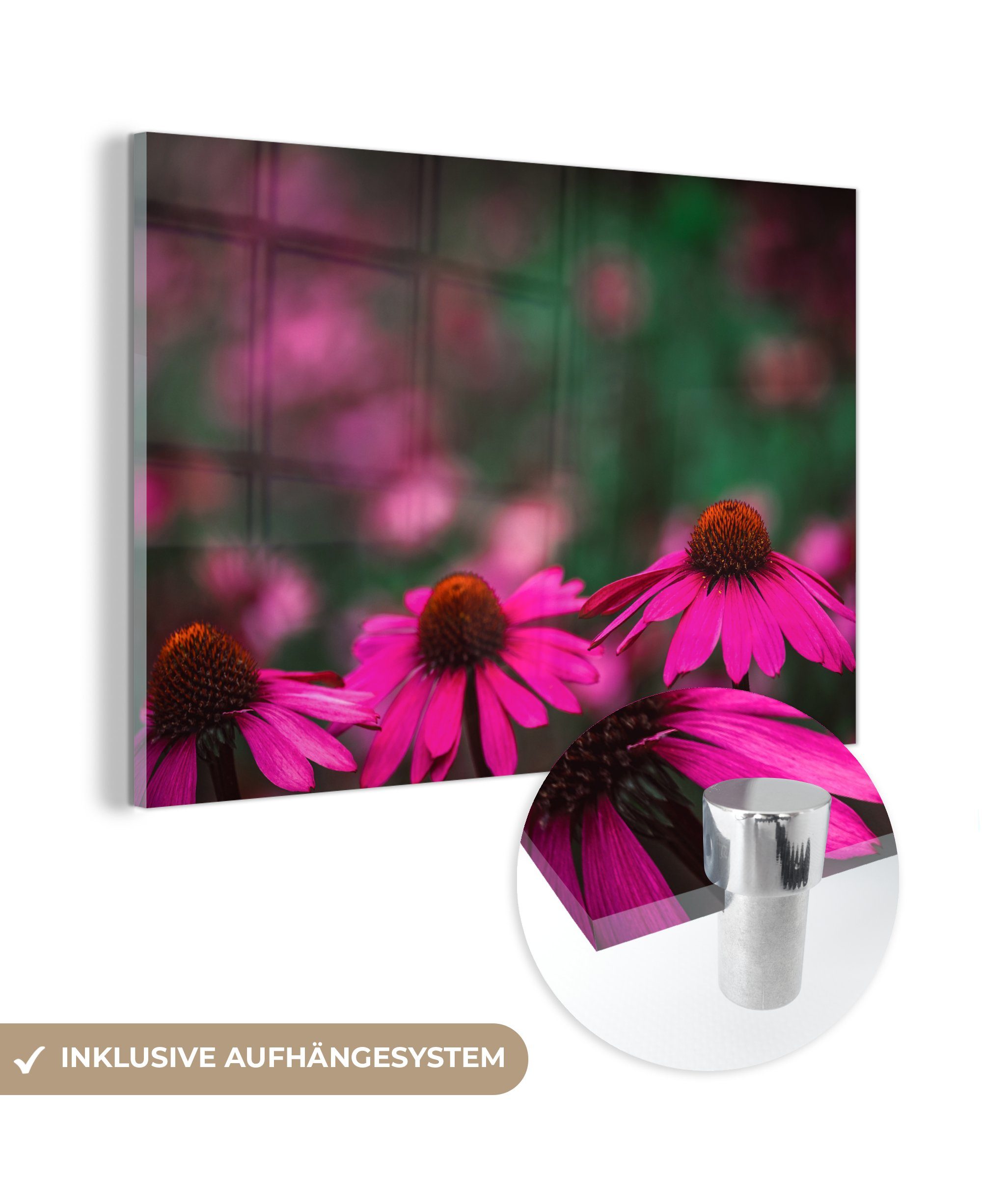 MuchoWow Acrylglasbild Rosa Dahlien, (1 & St), Acrylglasbilder Schlafzimmer Wohnzimmer