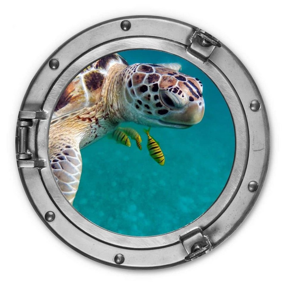 K&L Wall Art Alu-Dibond-Druck Metallposter Badezimmer Schildkröte 3D