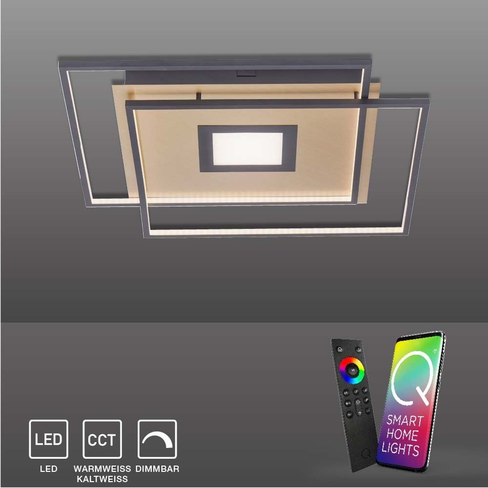 Paul Neuhaus Smarte LED-Leuchte LED Deckenlampe Q-AMIRA, Smart Home, CCT-Farbtemperaturregelung, Dimmfunktion, Memoryfunktion, mit Leuchtmittel, CCT Lichtfarbwechsel, dimmbar Fernbedienung, APP Schwarz